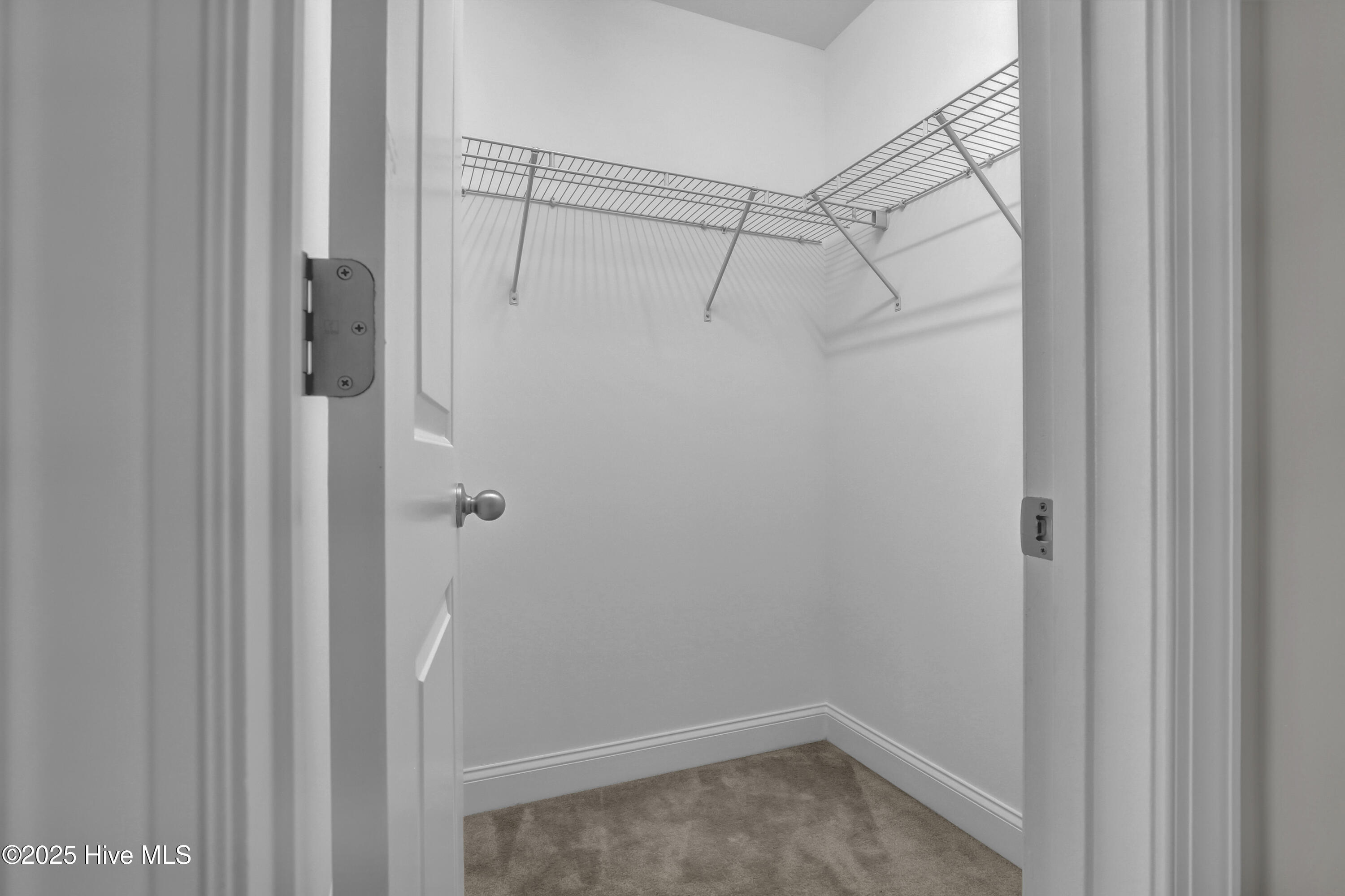 408 Canvasback Lane Property Photo 20