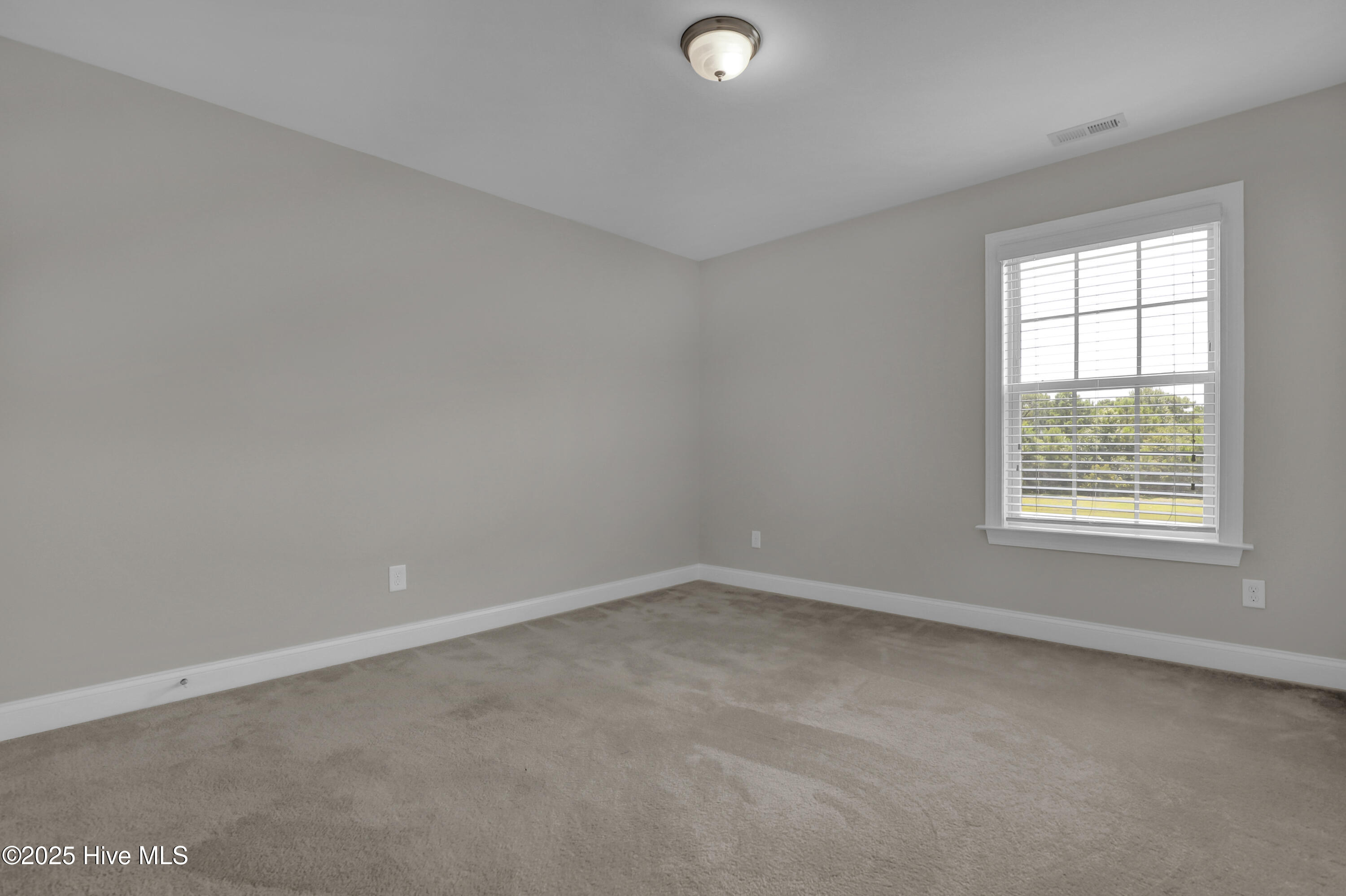 408 Canvasback Lane Property Photo 22