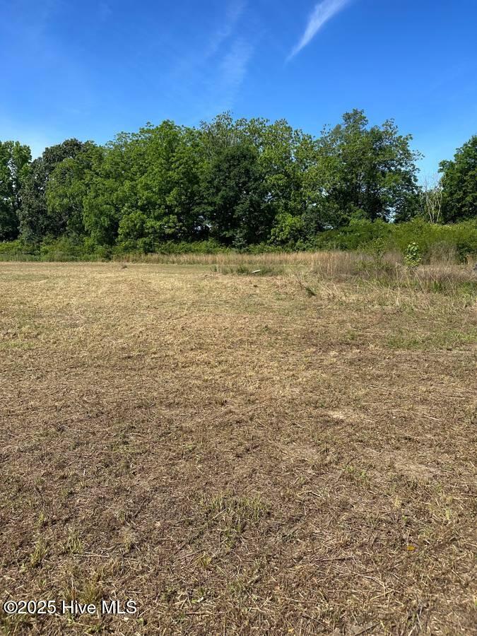 4351 Swift Creek School Road Property Photo 5