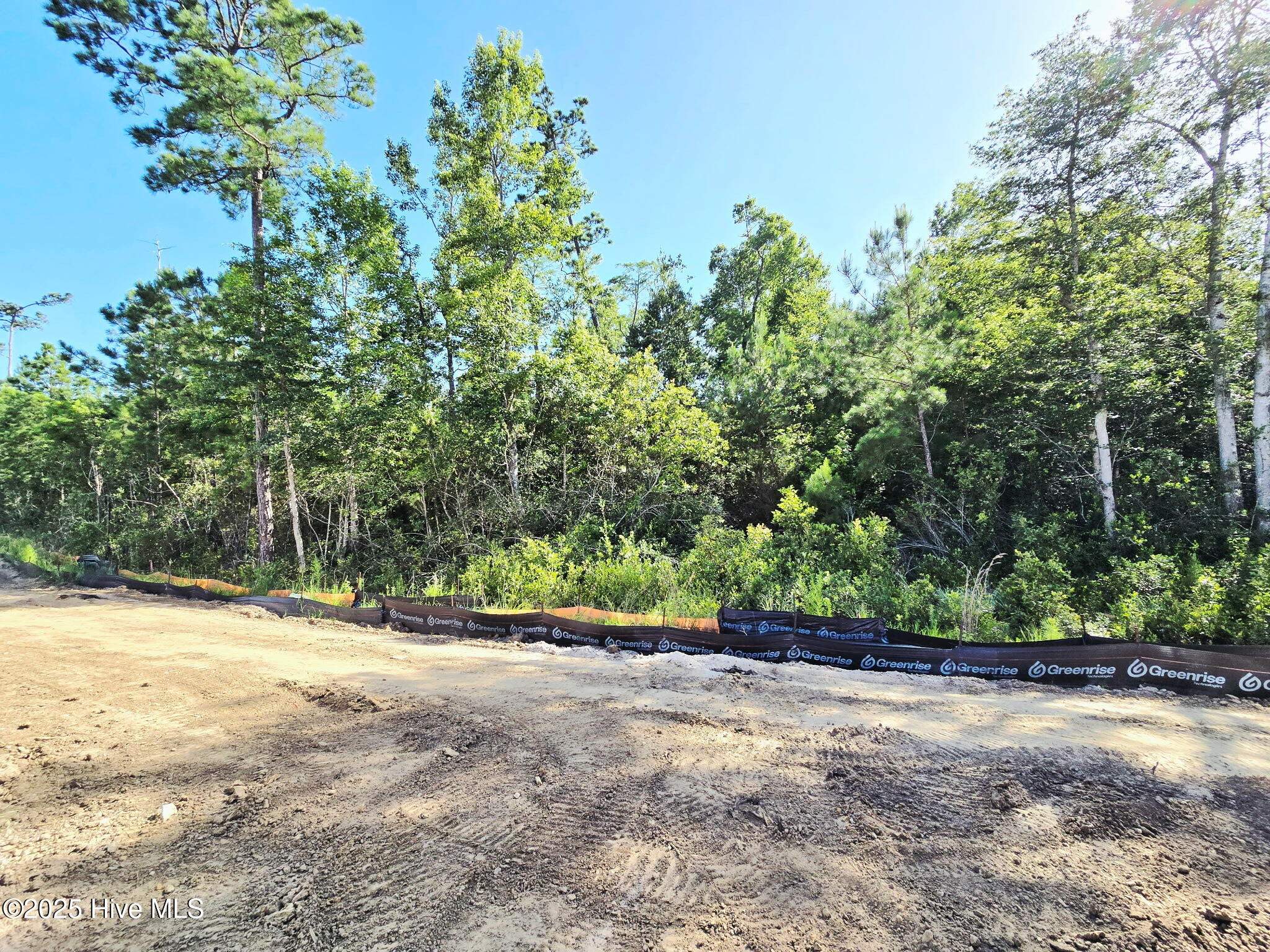 4039 Morning Light Drive Property Photo 7
