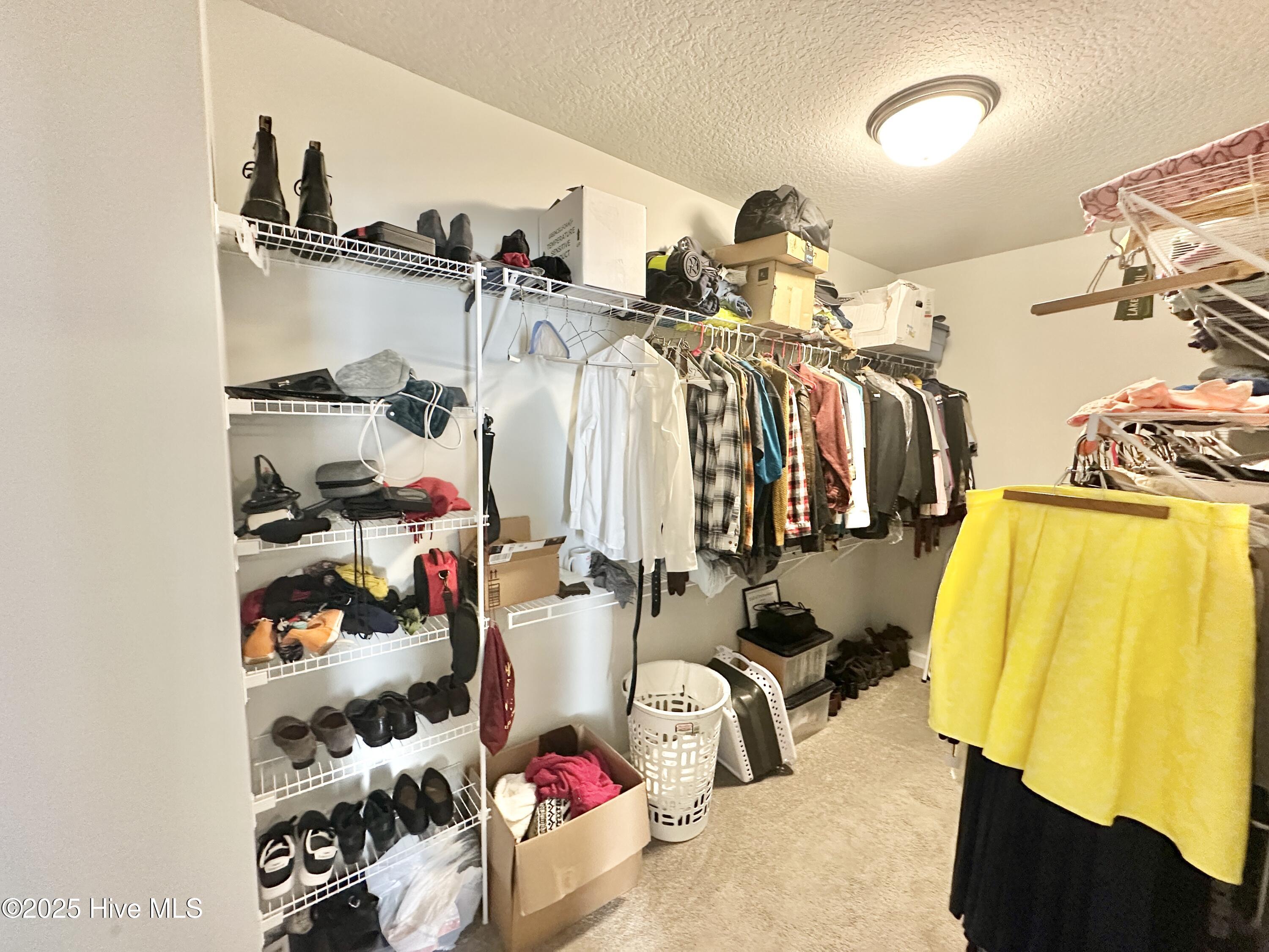 303 Otis Lane Property Photo 18
