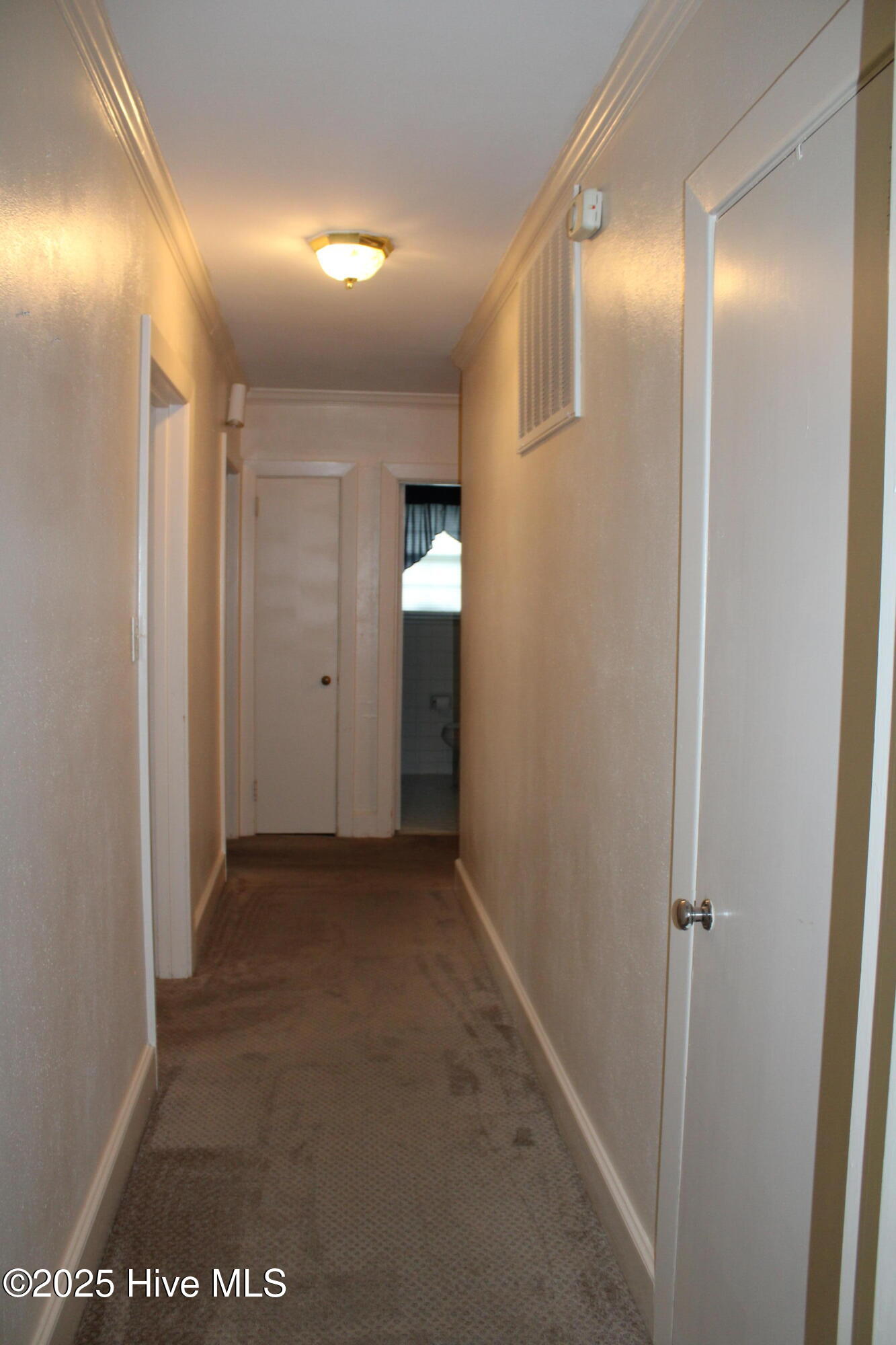 707 Cameron Drive Property Photo 12