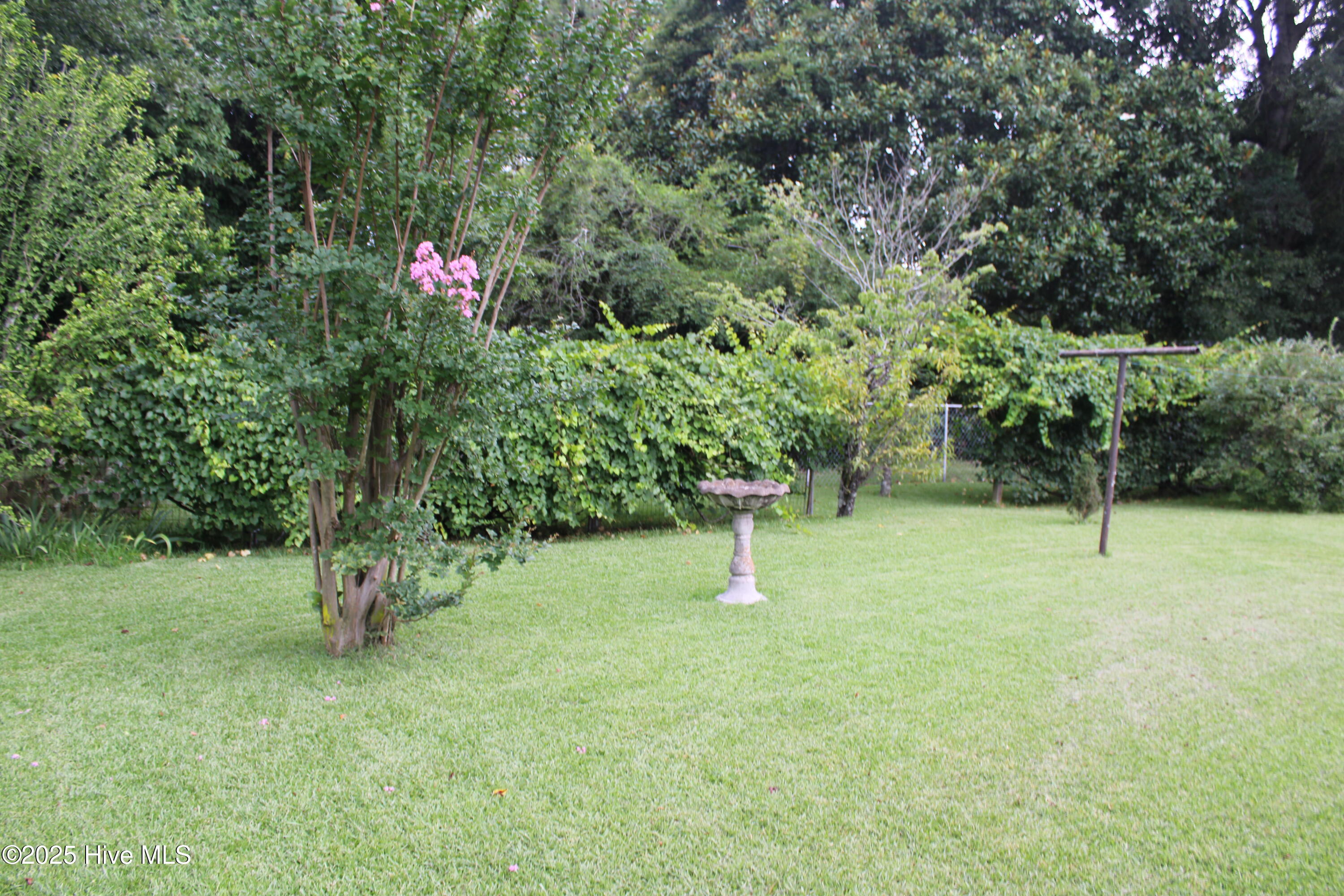 707 Cameron Drive Property Photo 22
