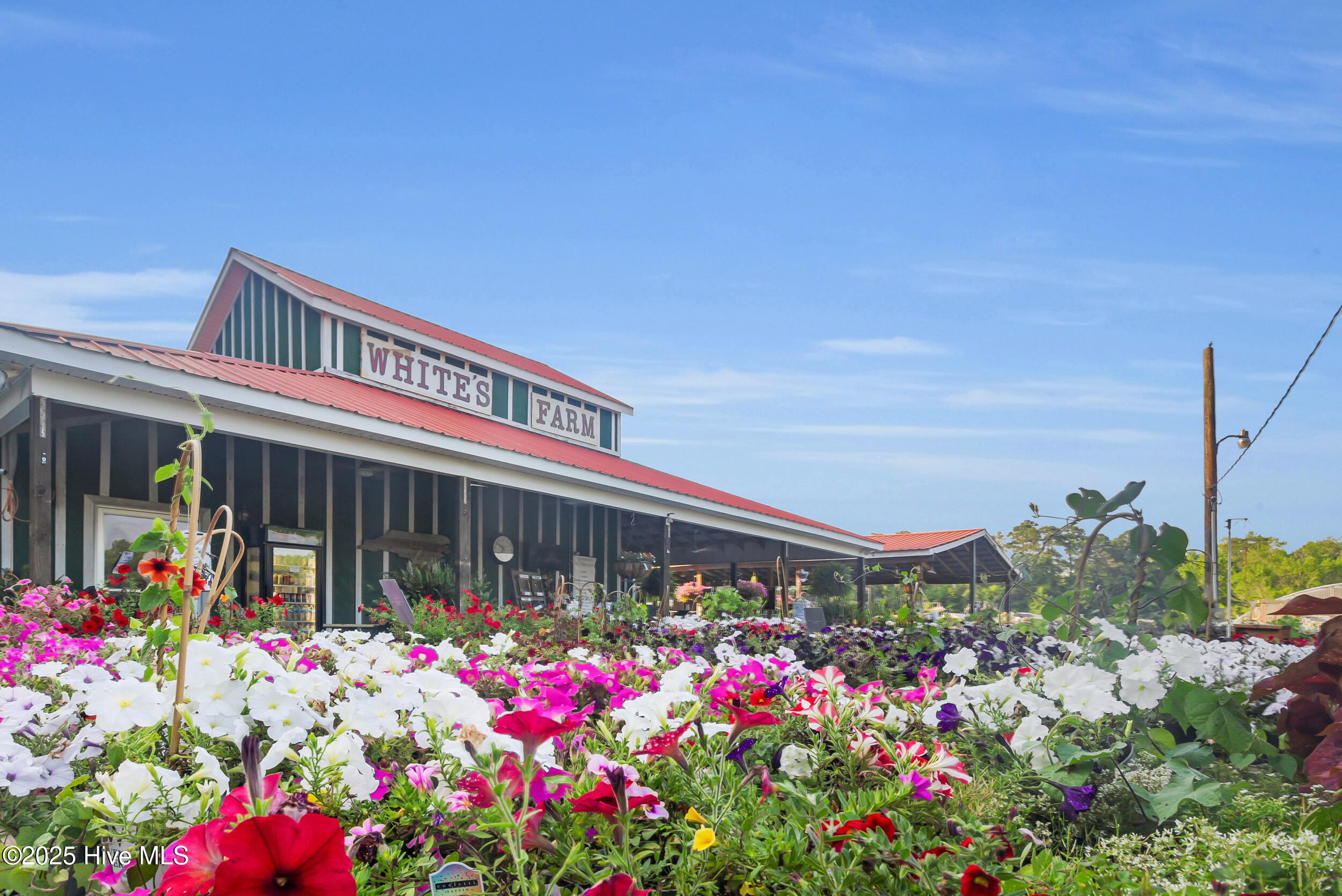 0 Buck Lane Lane Property Photo 5