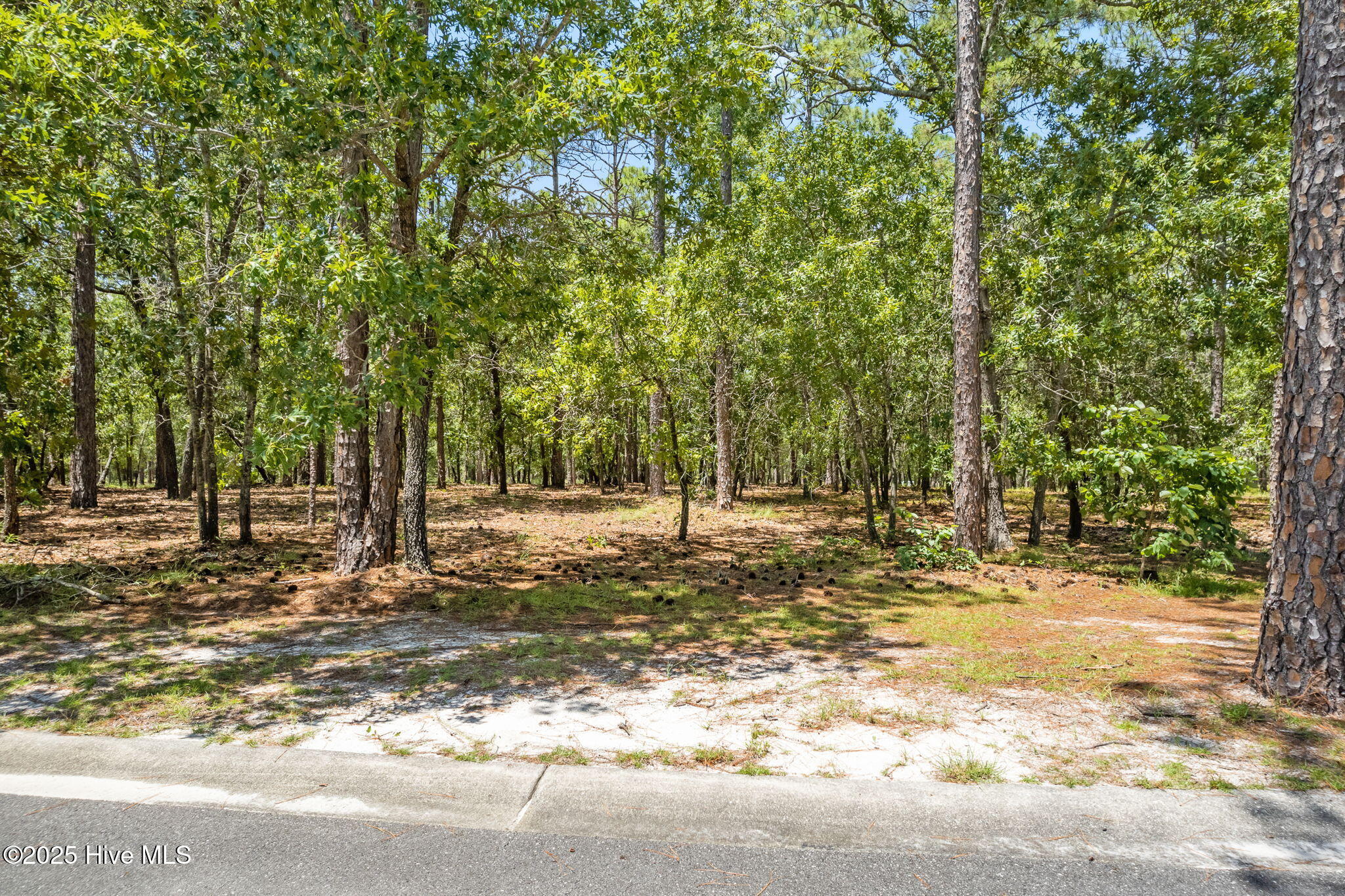 635 Theodora Crossing Property Photo 1