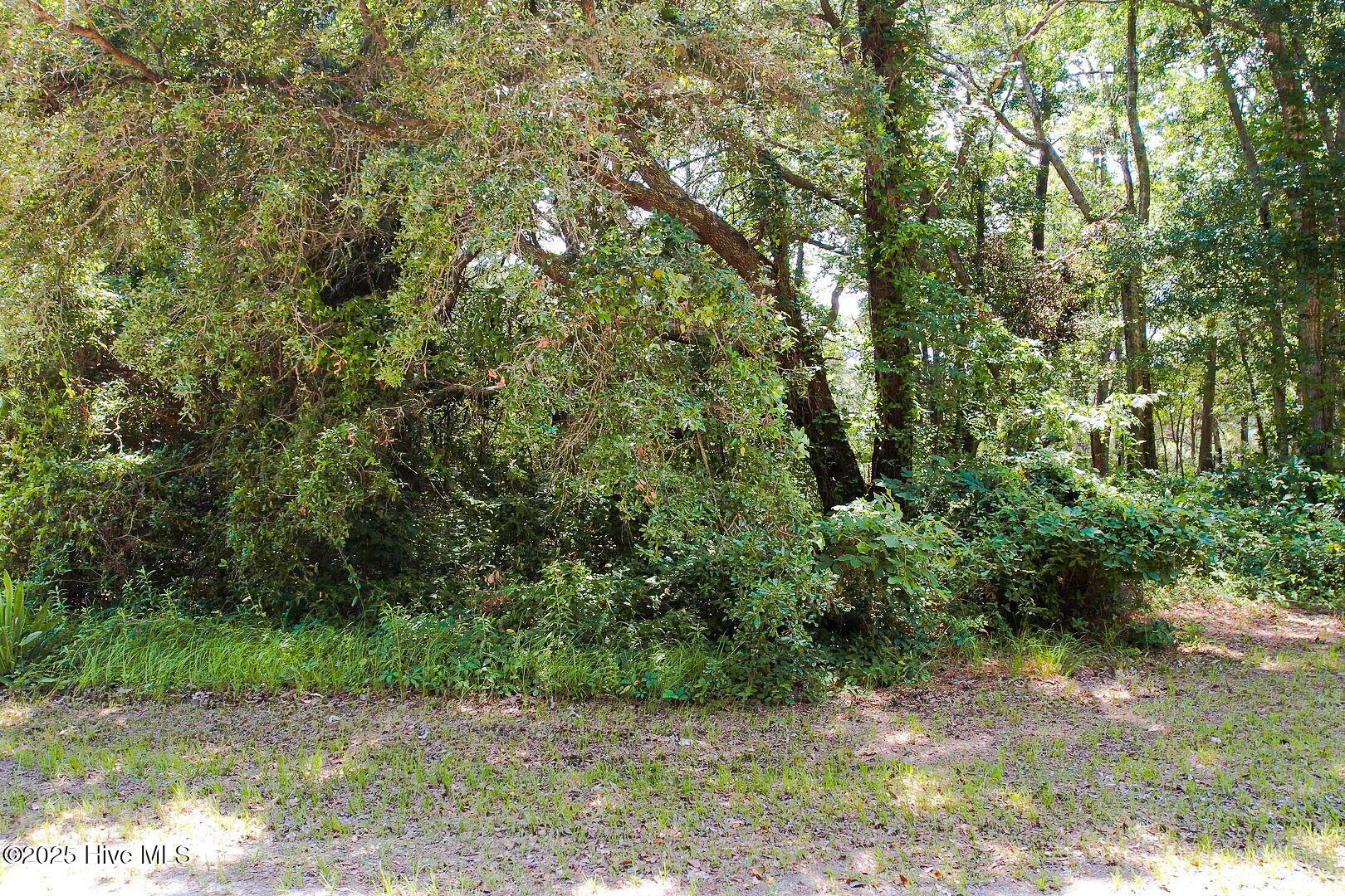 1705 Long Shore Drive Property Photo 2