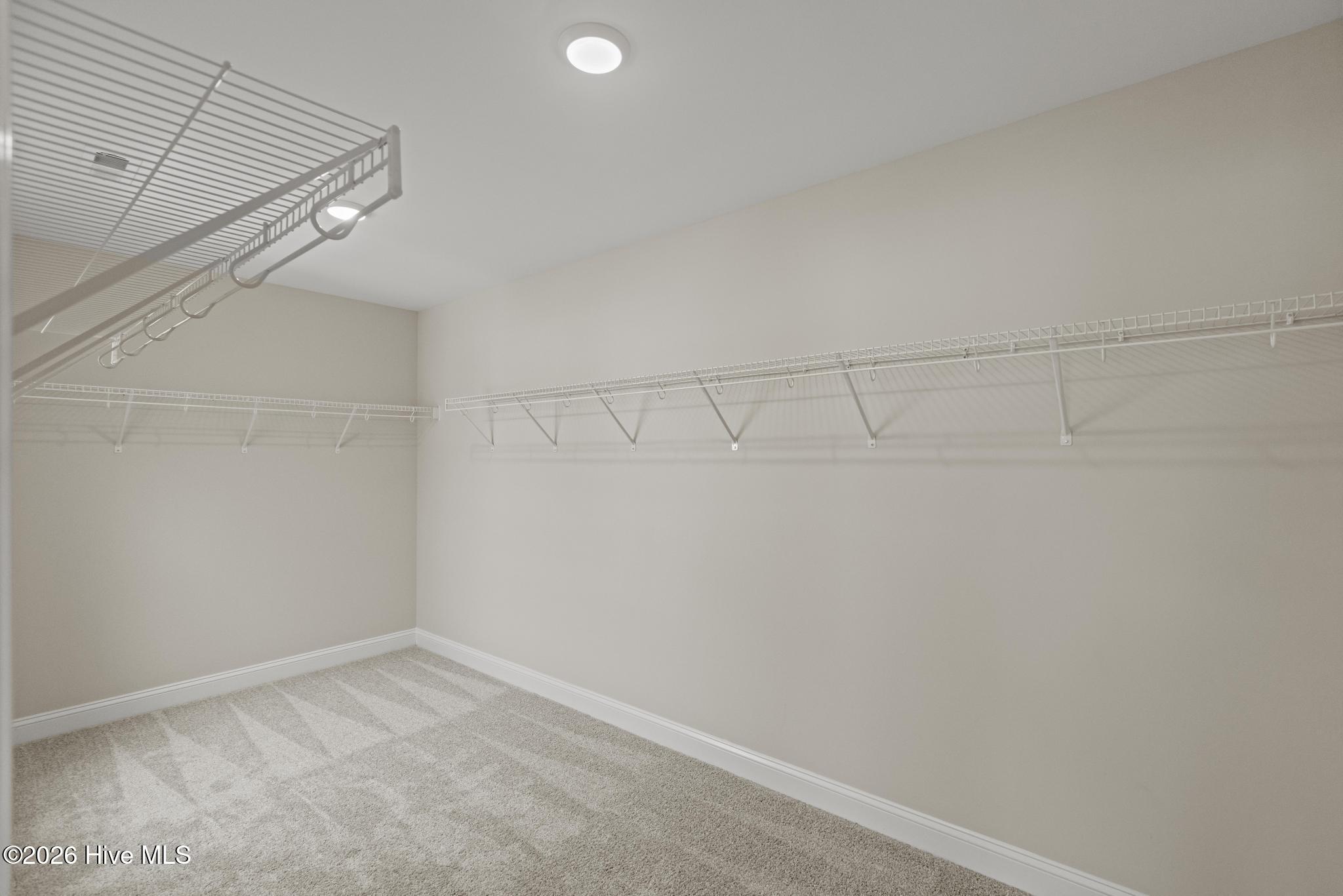 909 Wild Azalea Way Property Photo 22