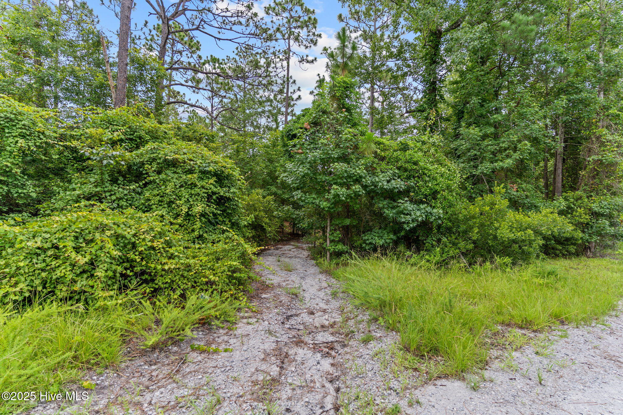 267 Foxcroft Road Property Photo 6