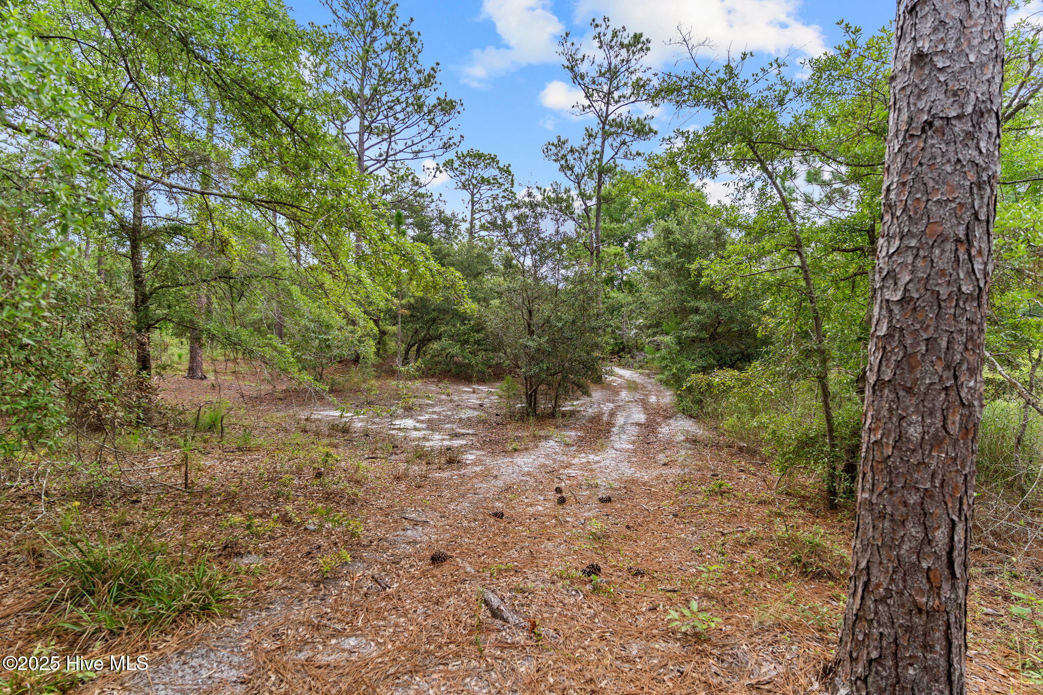267 Foxcroft Road Property Photo 7