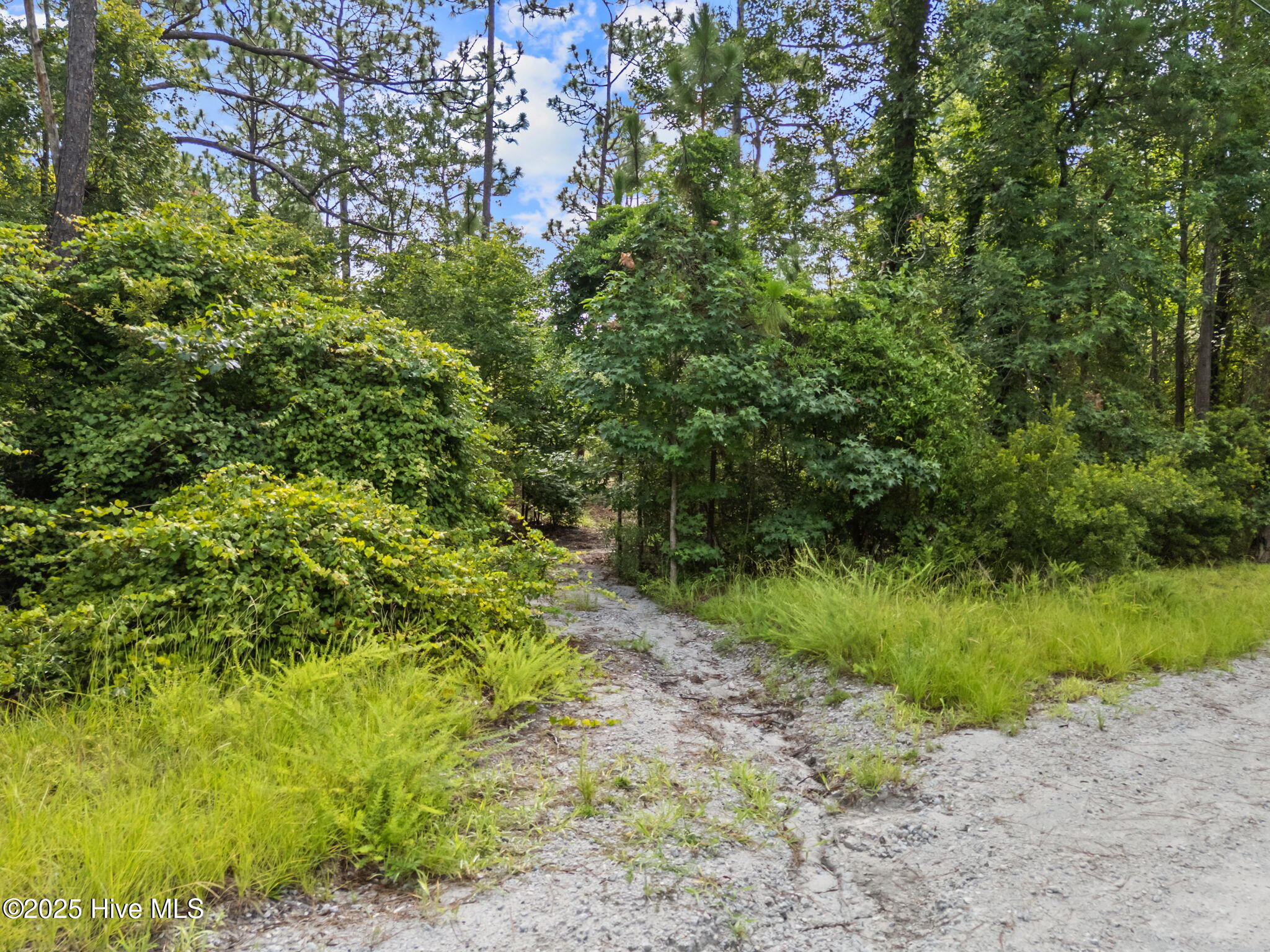 267 Foxcroft Road Property Photo 19