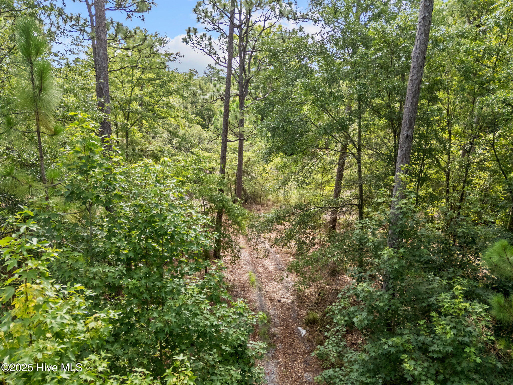 267 Foxcroft Road Property Photo 20