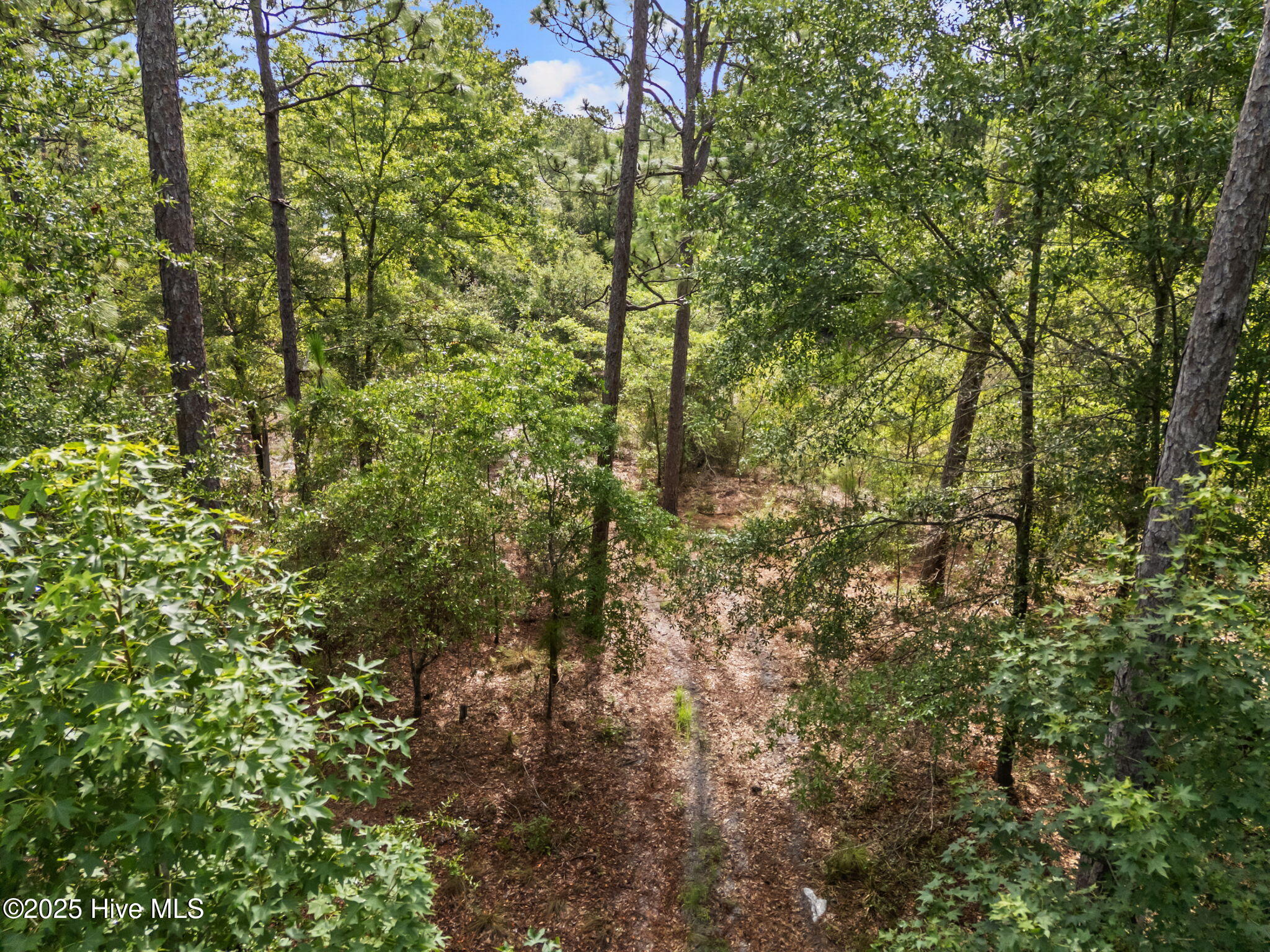 267 Foxcroft Road Property Photo 21