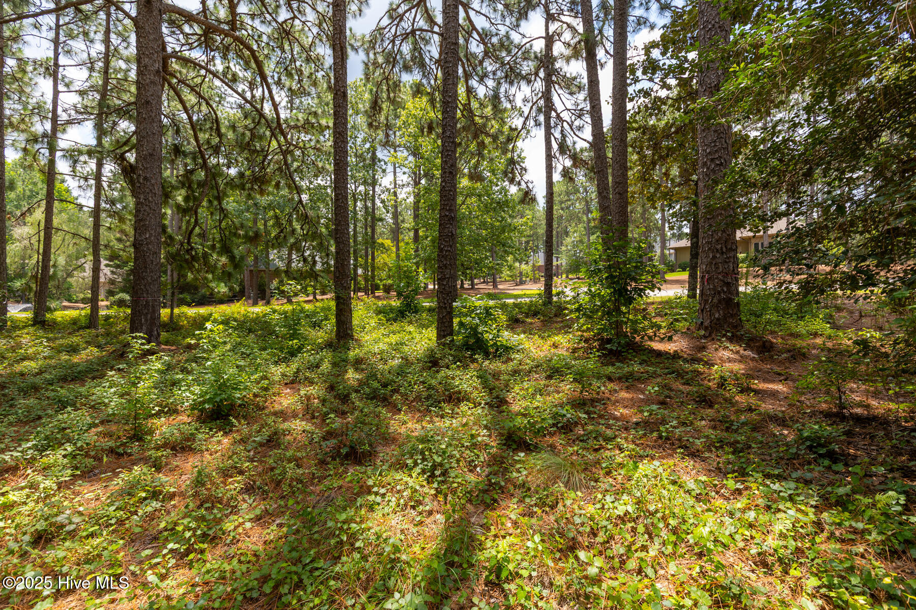 20 Kilbride Drive Property Photo 1