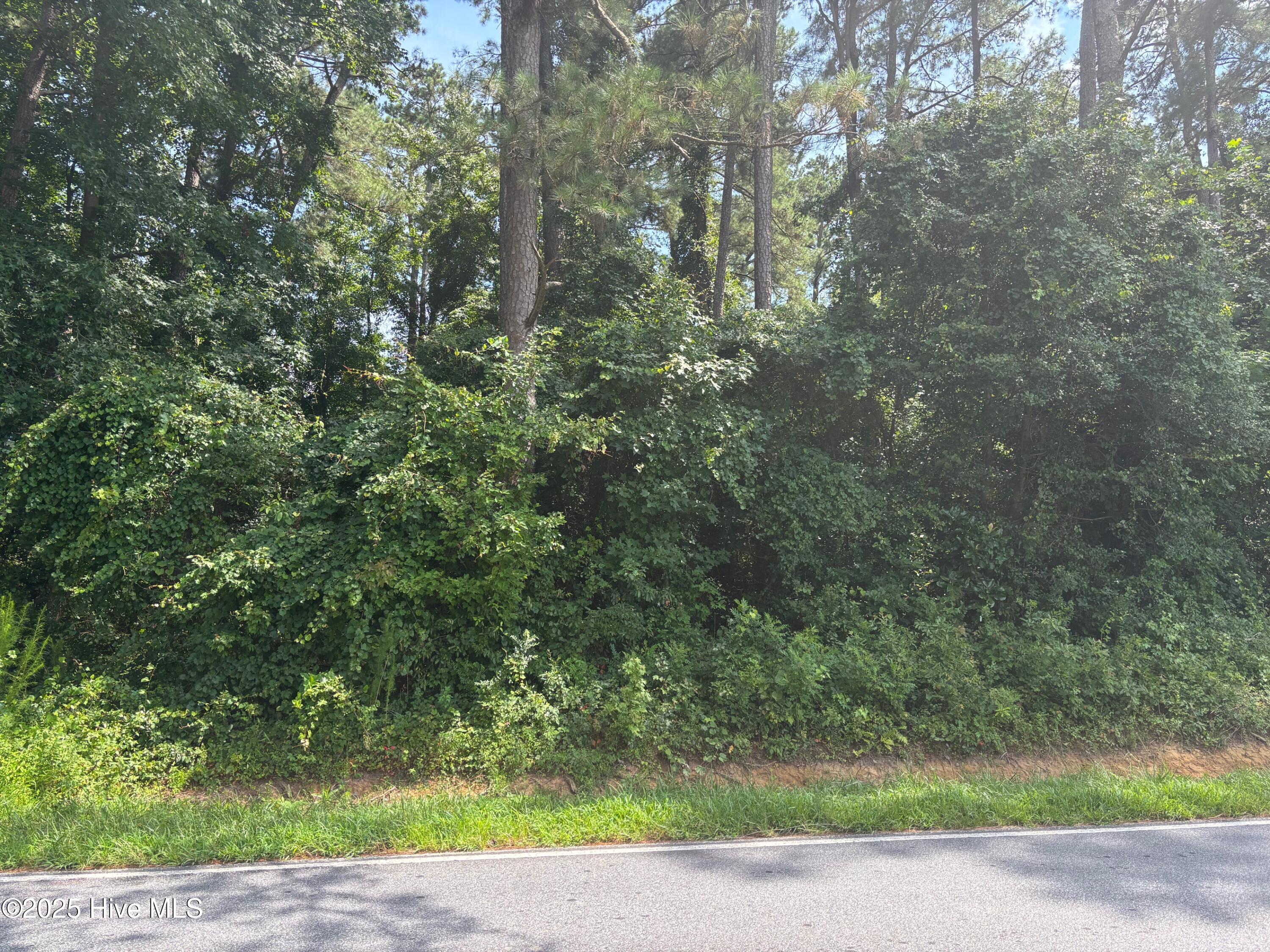 6463 Speights Bridge Road Property Photo 1