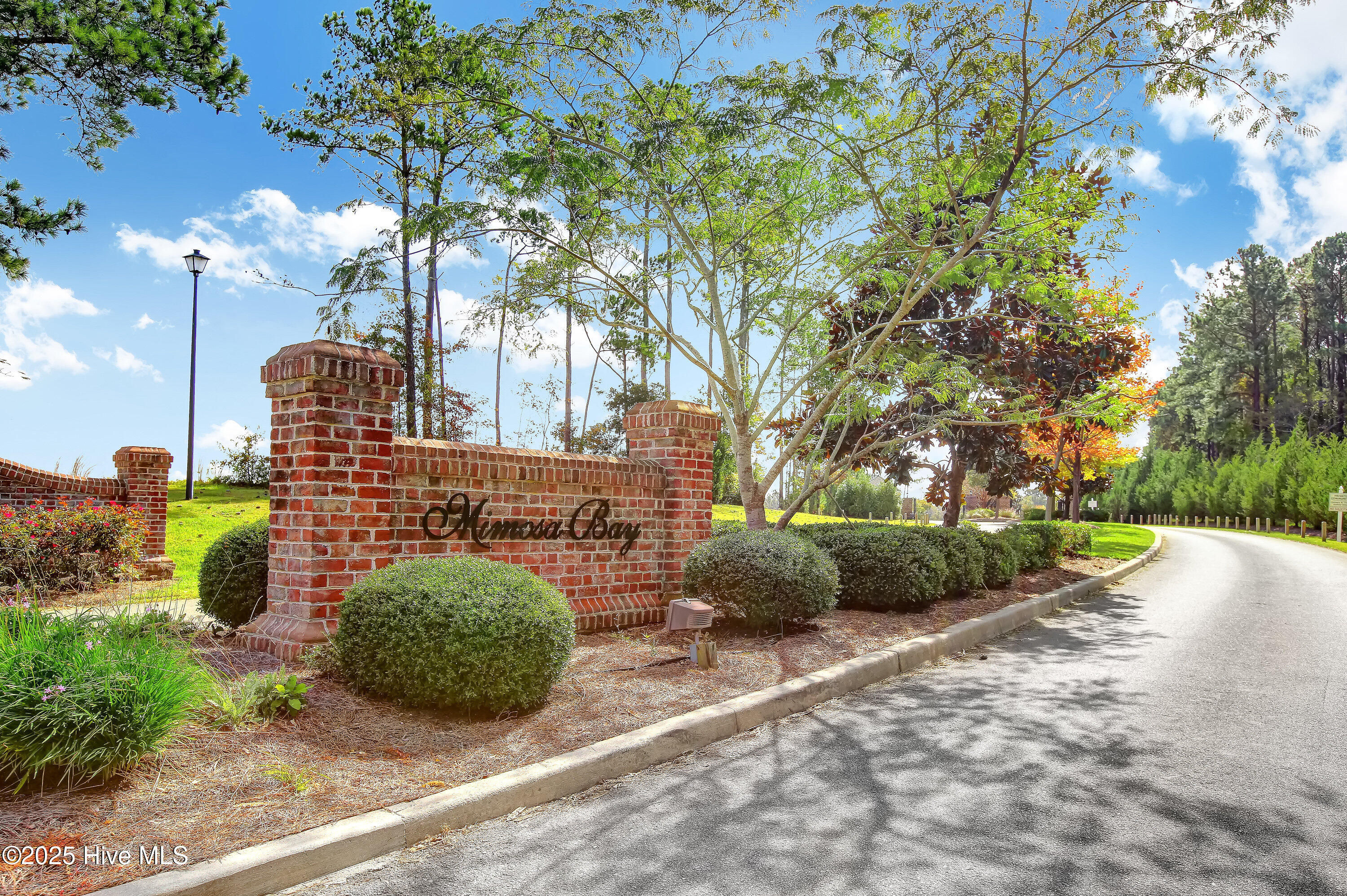 262 E Red Head Circle Property Photo 41