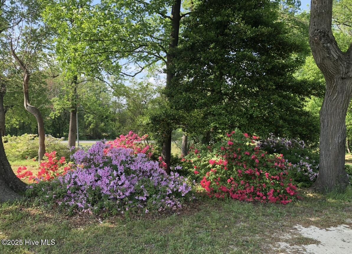 2326 Us-117 Property Photo 66