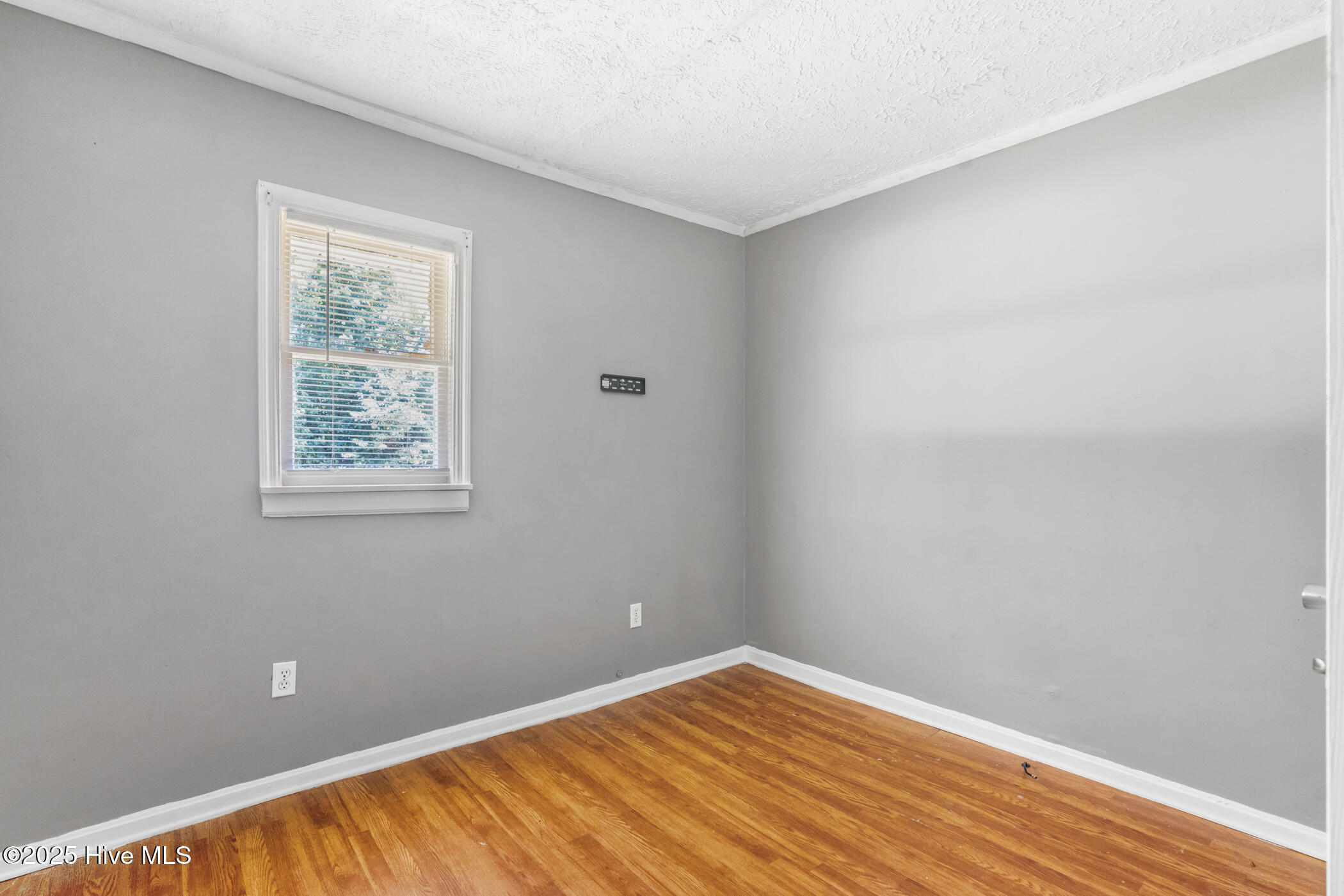 168 Morrow Street Property Photo 18