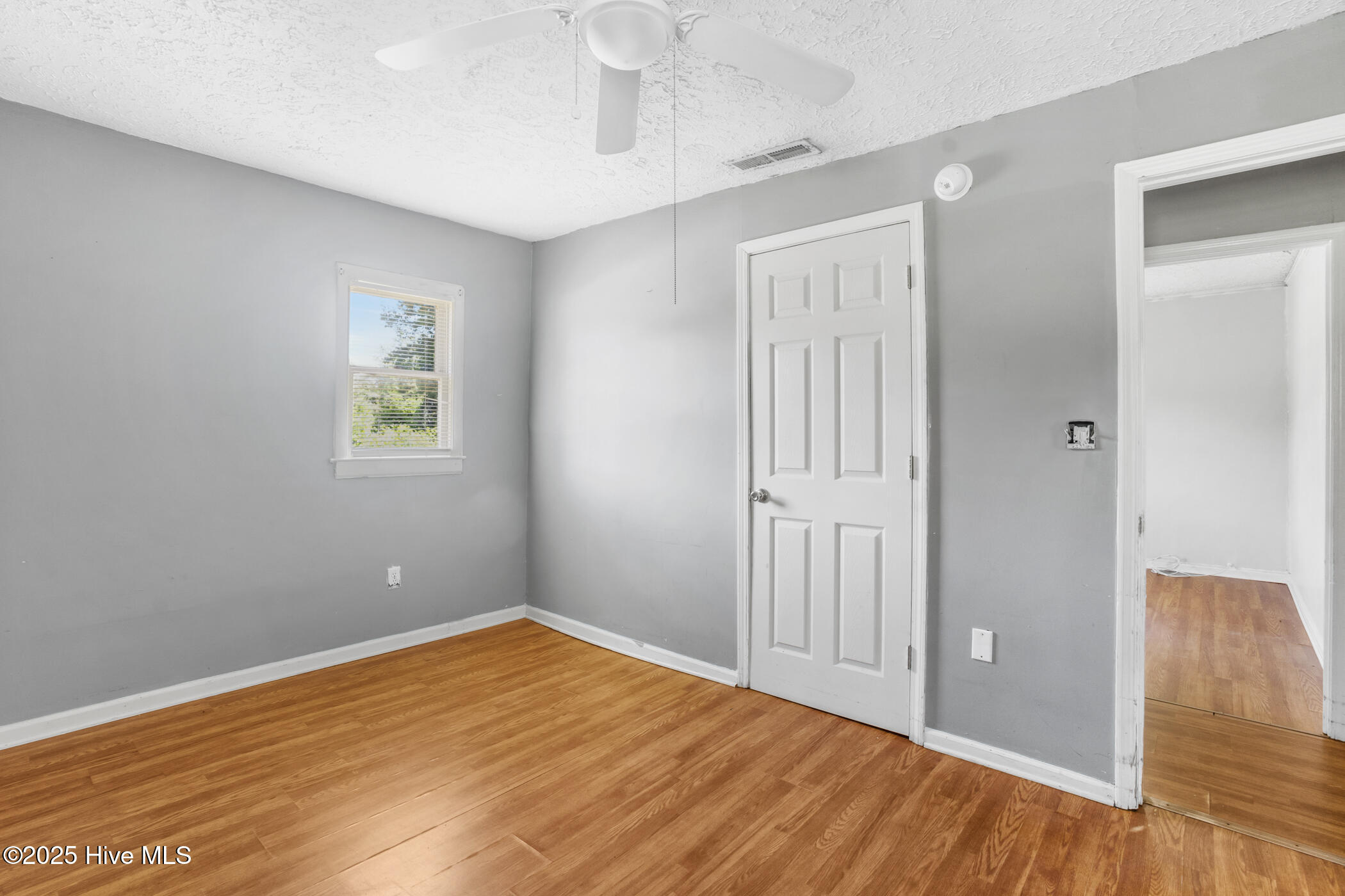 168 Morrow Street Property Photo 22