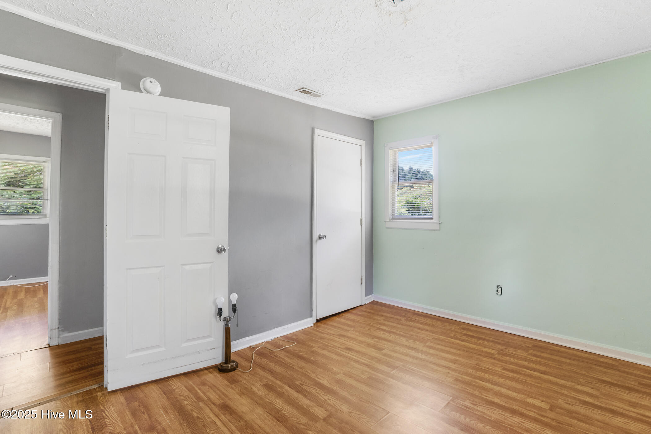 168 Morrow Street Property Photo 23