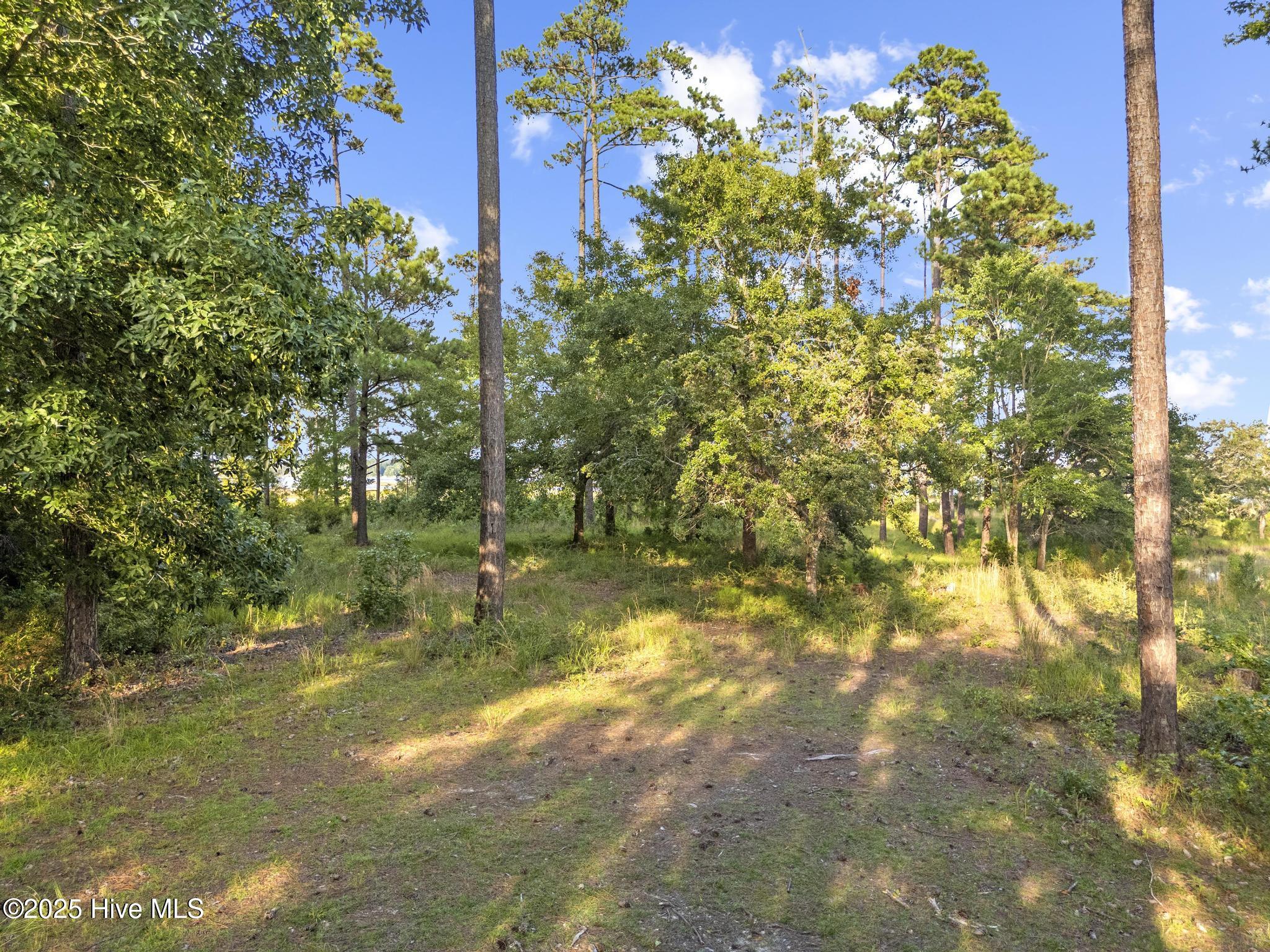 Lot 17&18 Plantation Lane Property Photo 3