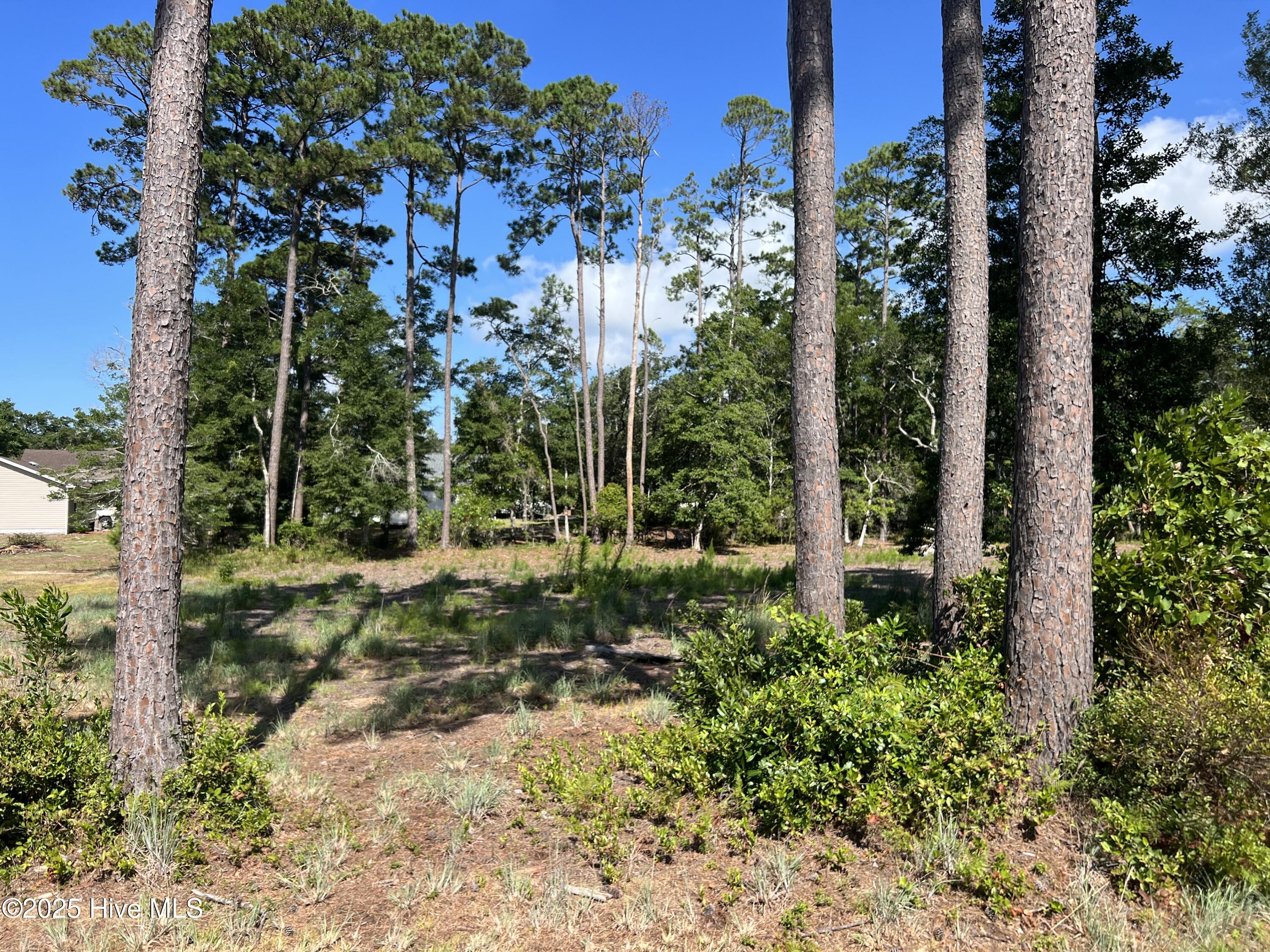2615 Bellamy Drive Property Photo 22