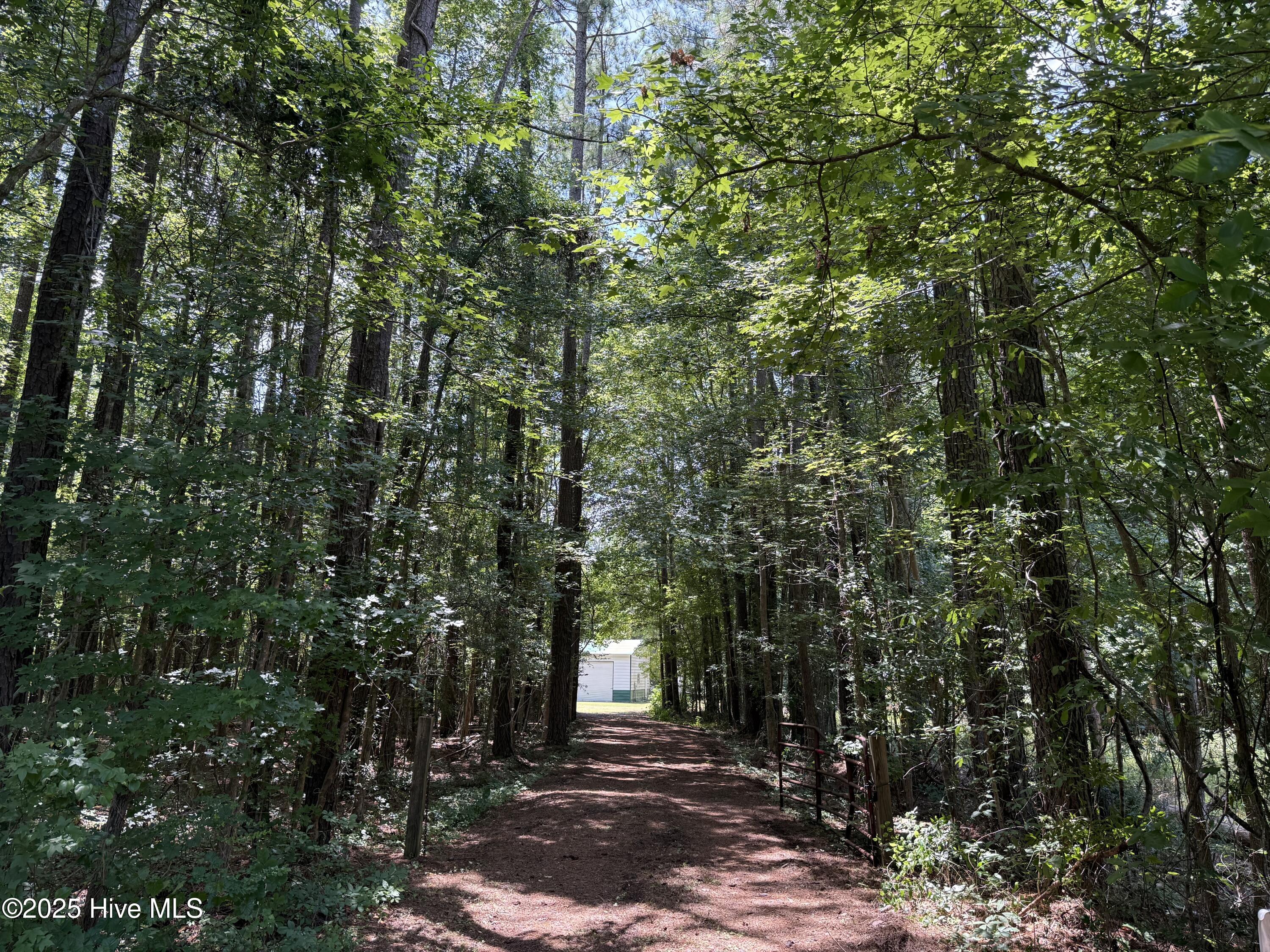 250 Tree Lane Property Photo 1