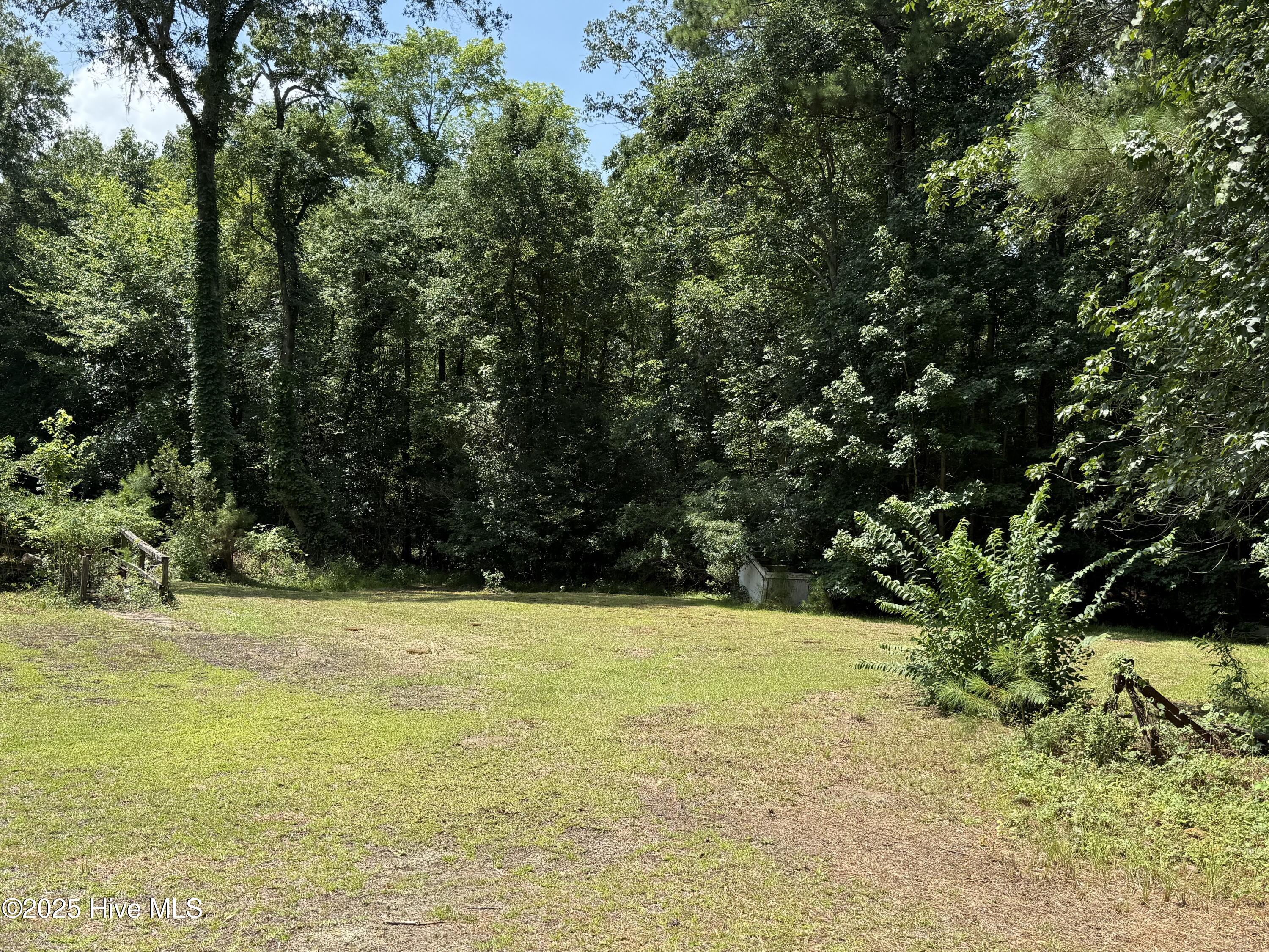 250 Tree Lane Property Photo 4