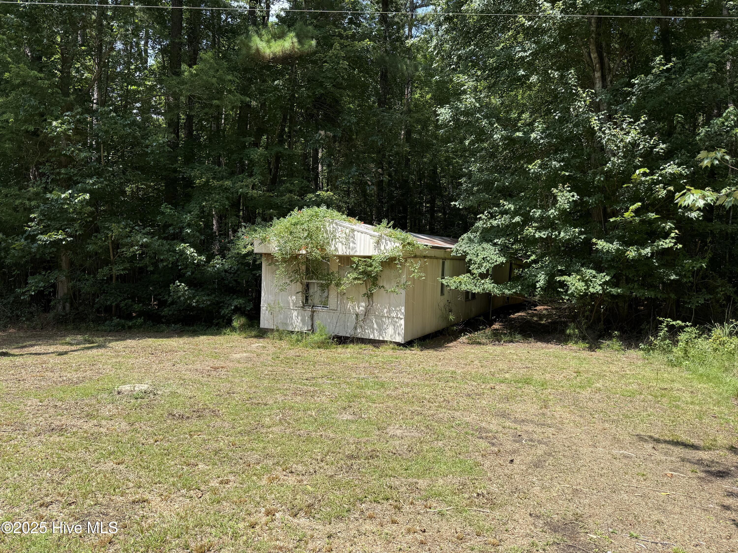 250 Tree Lane Property Photo 5