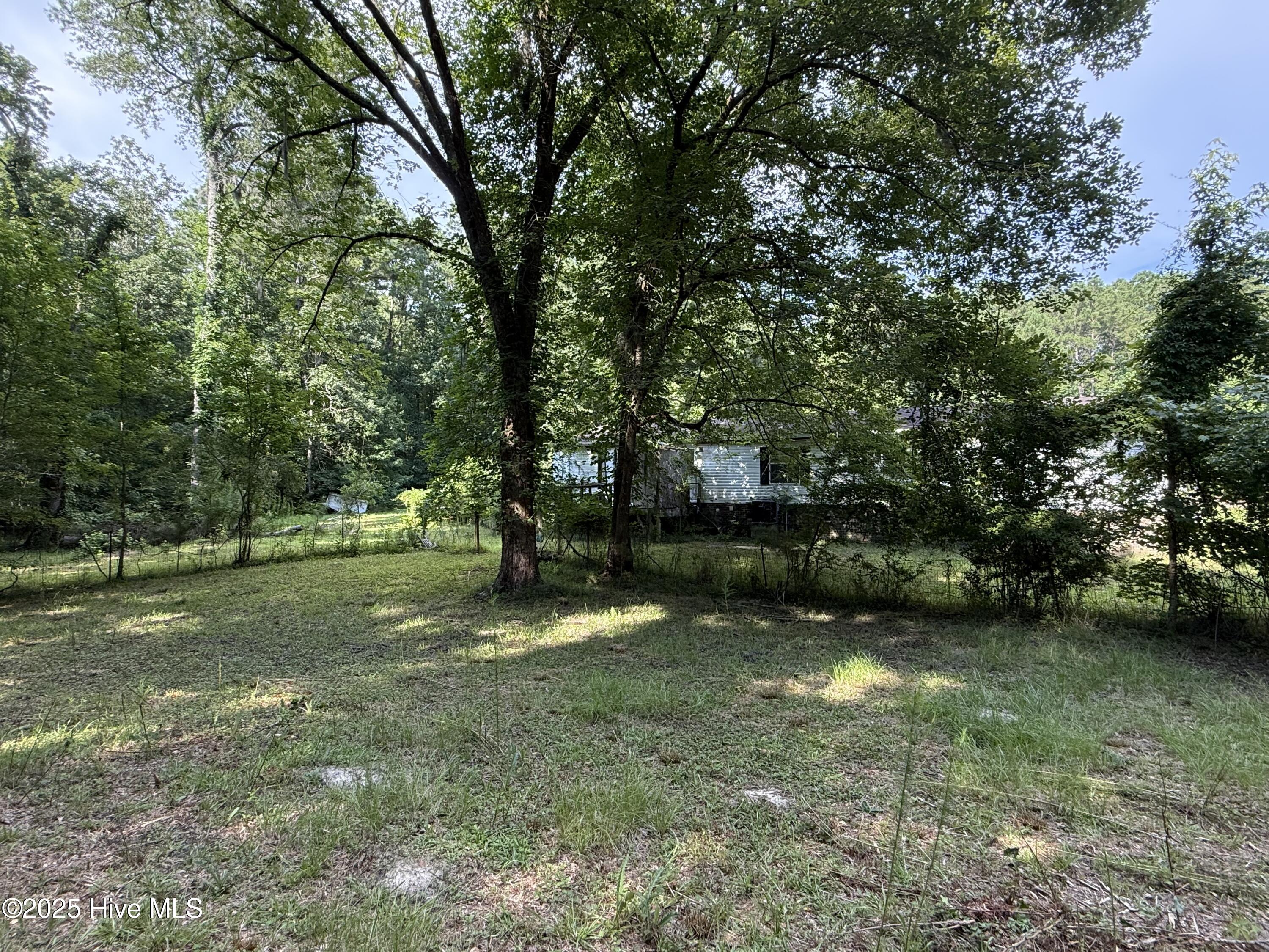 250 Tree Lane Property Photo 11