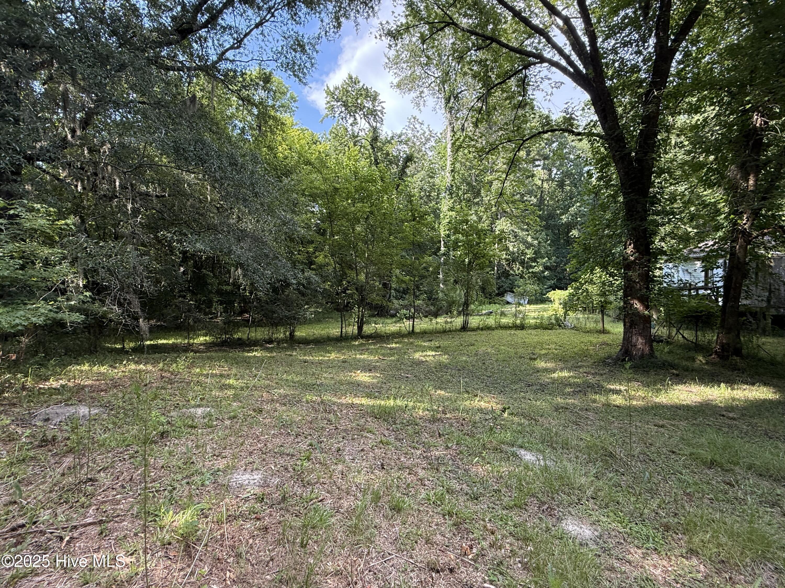 250 Tree Lane Property Photo 12