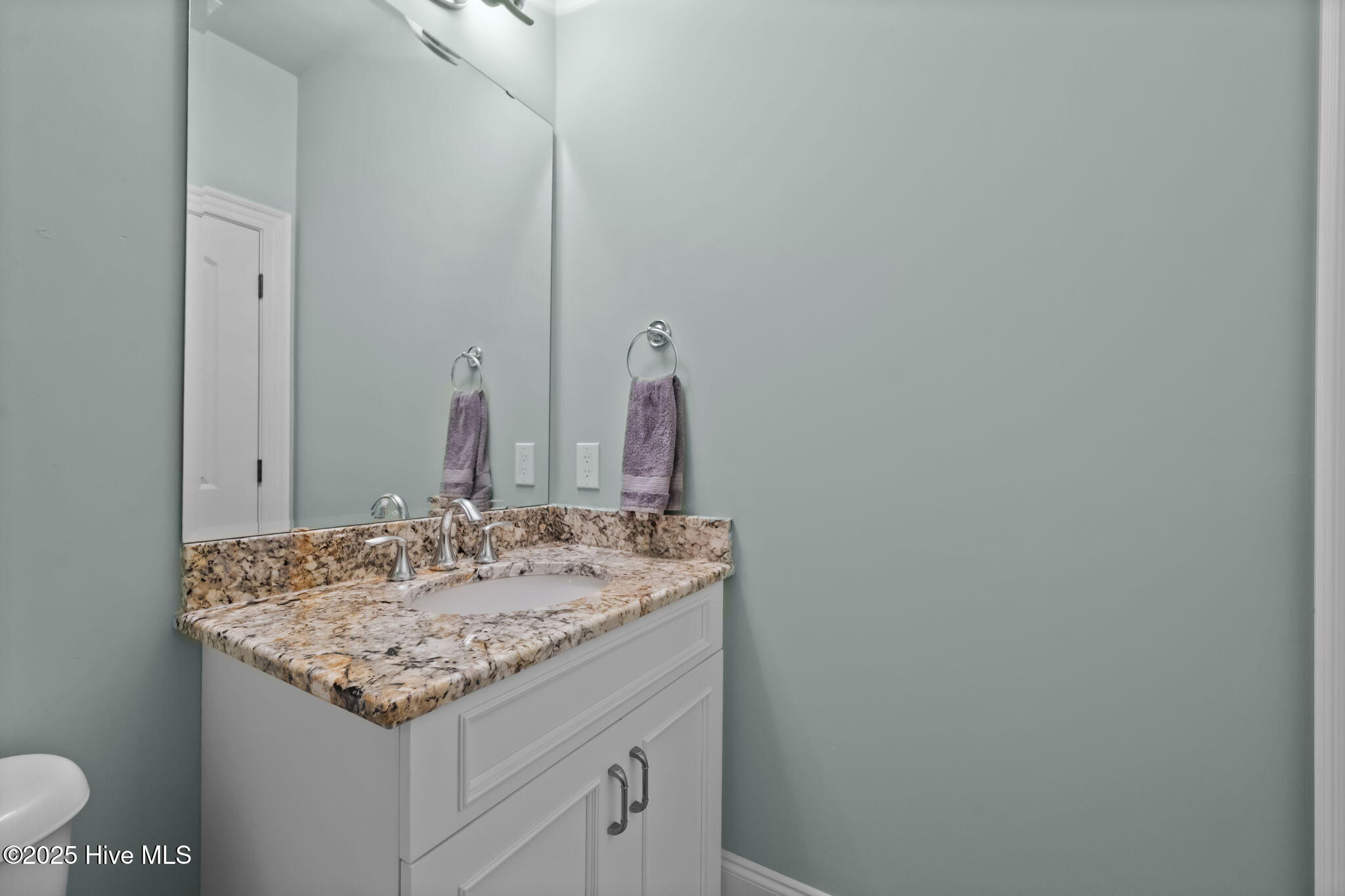 125 Falling Water Way Property Photo 55
