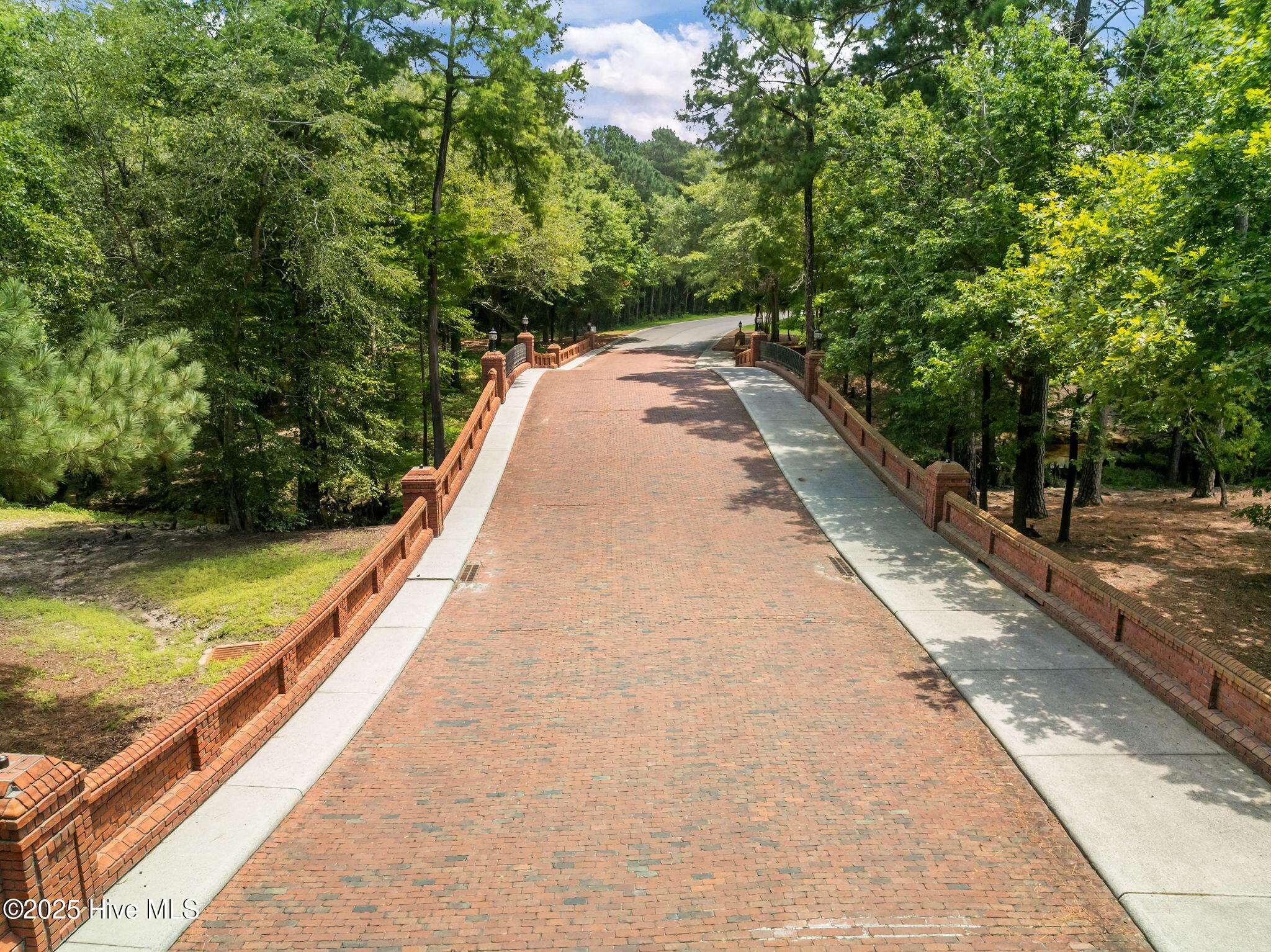 125 Falling Water Way Property Photo 78
