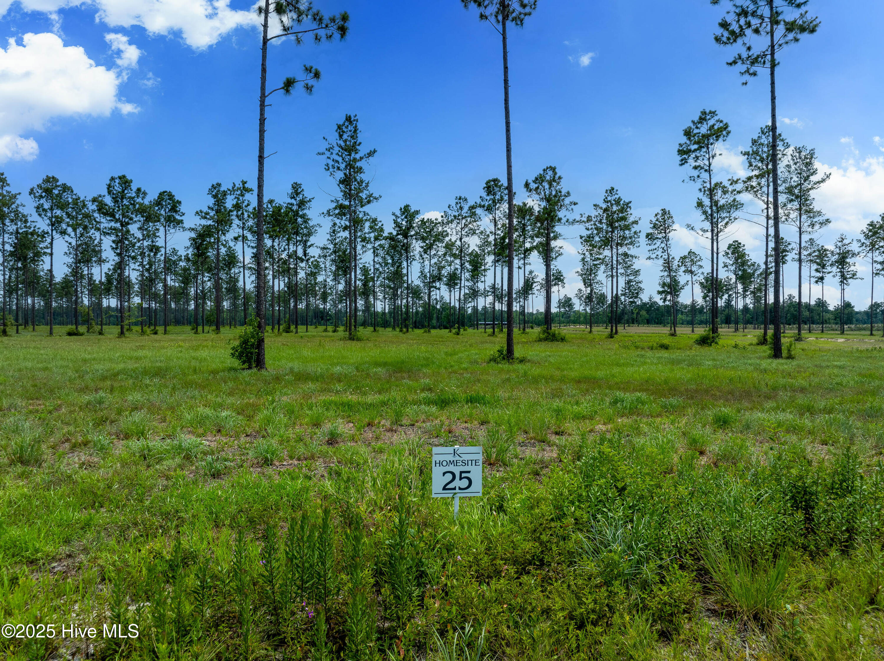 Lot 25 Cattle Drive Property Photo 1