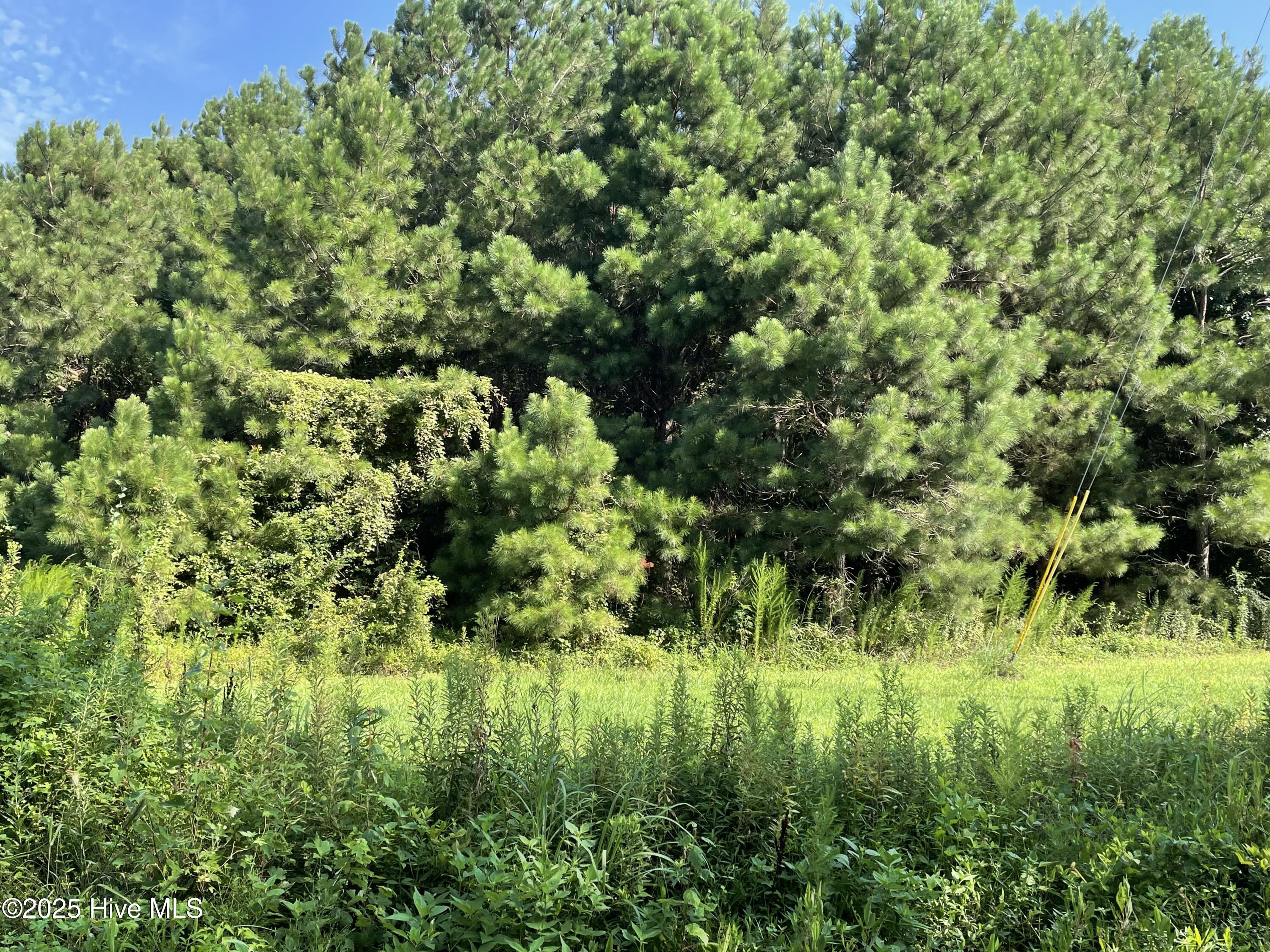 1349 Turnpike Road Property Photo 2