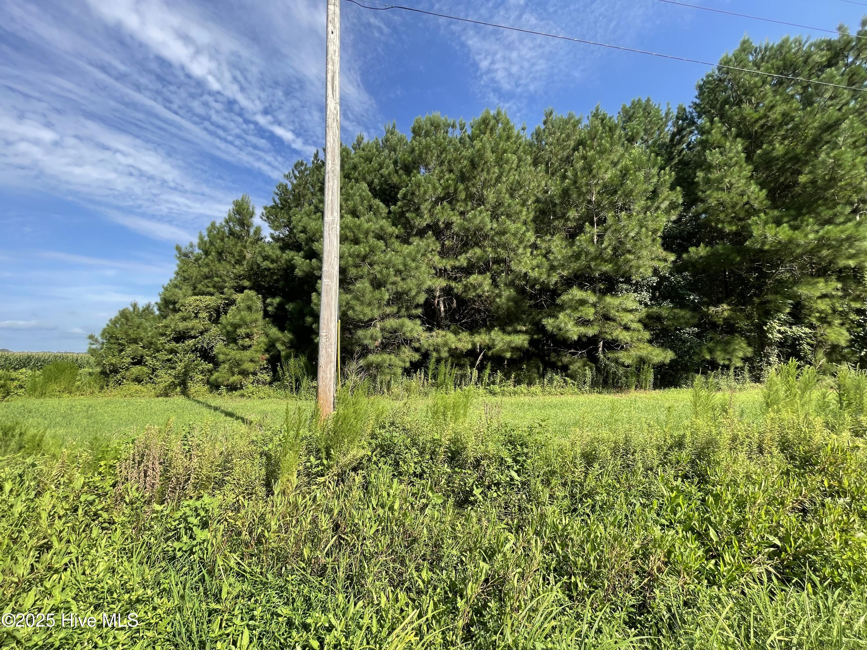 1349 Turnpike Road Property Photo 3
