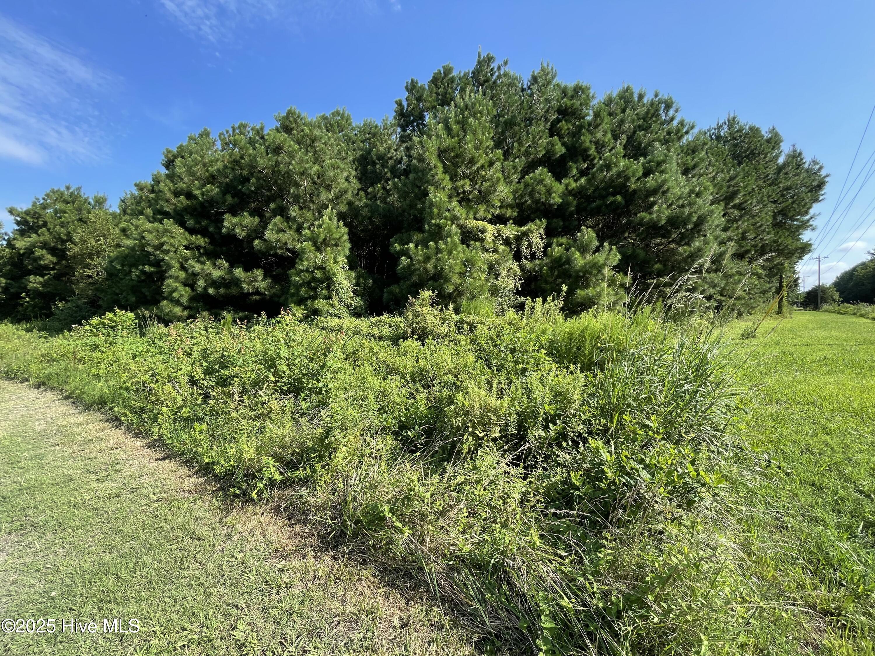 1349 Turnpike Road Property Photo 4