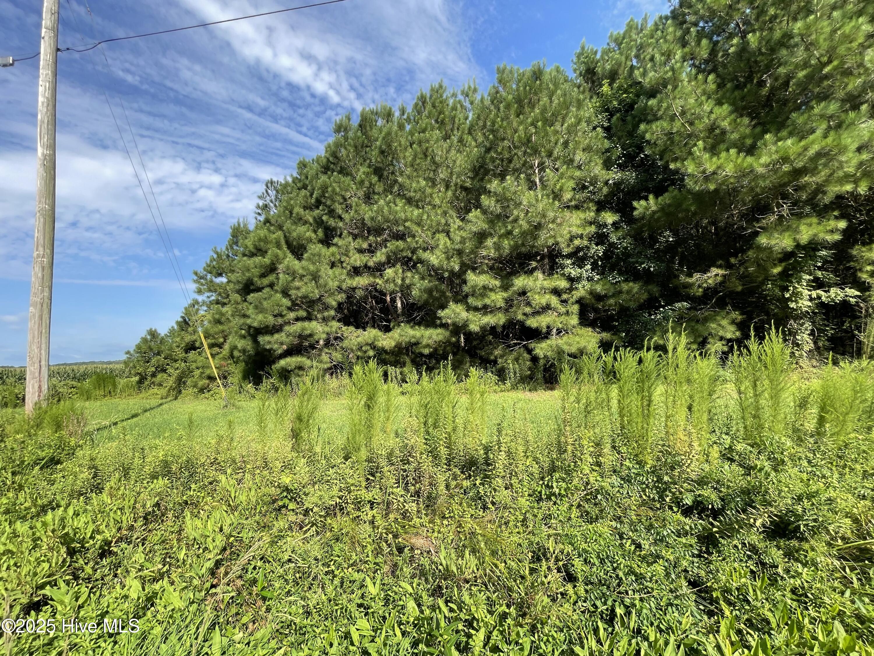 1349 Turnpike Road Property Photo 5
