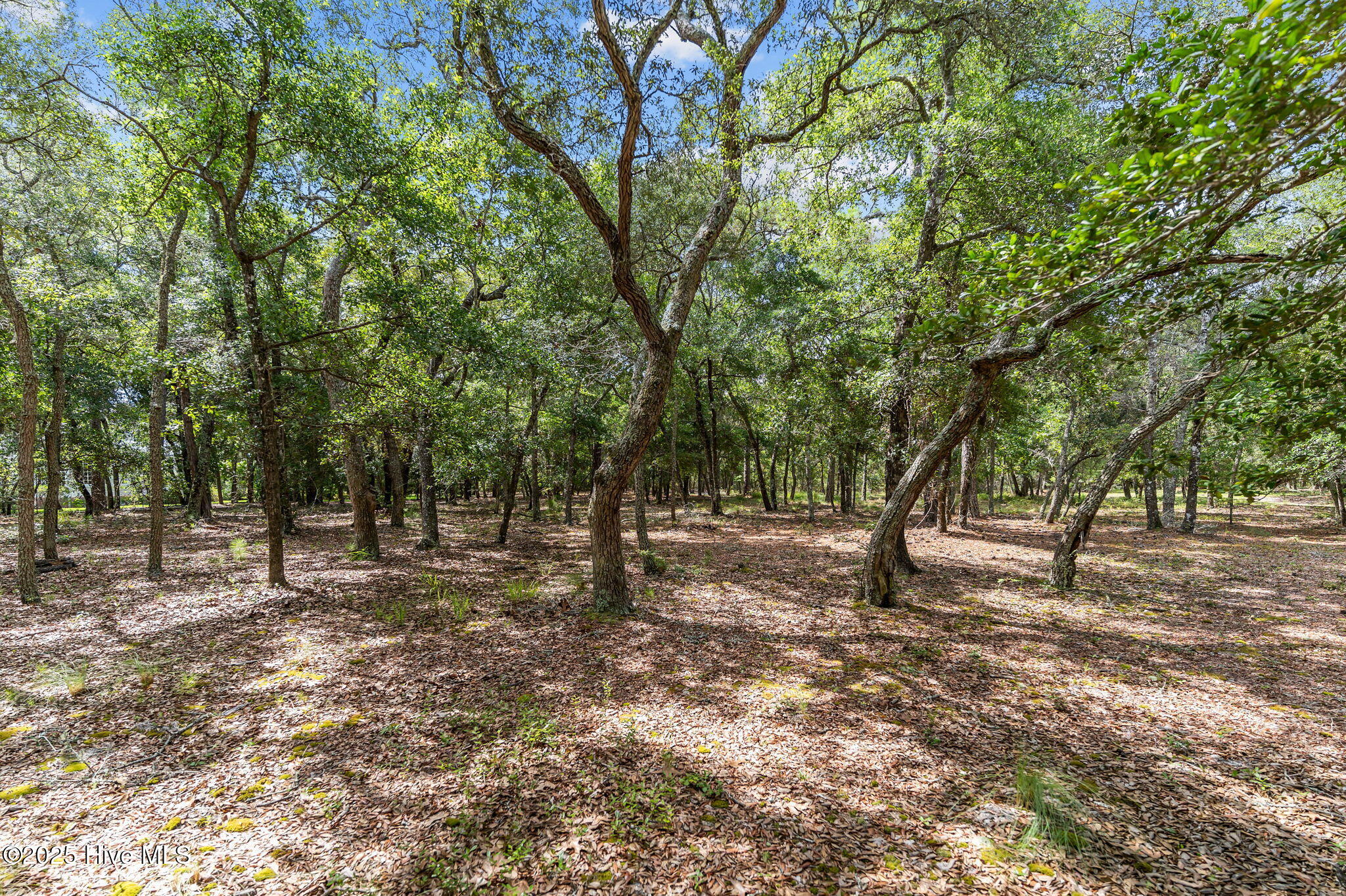 583 S Seascape Boulevard Property Photo 6