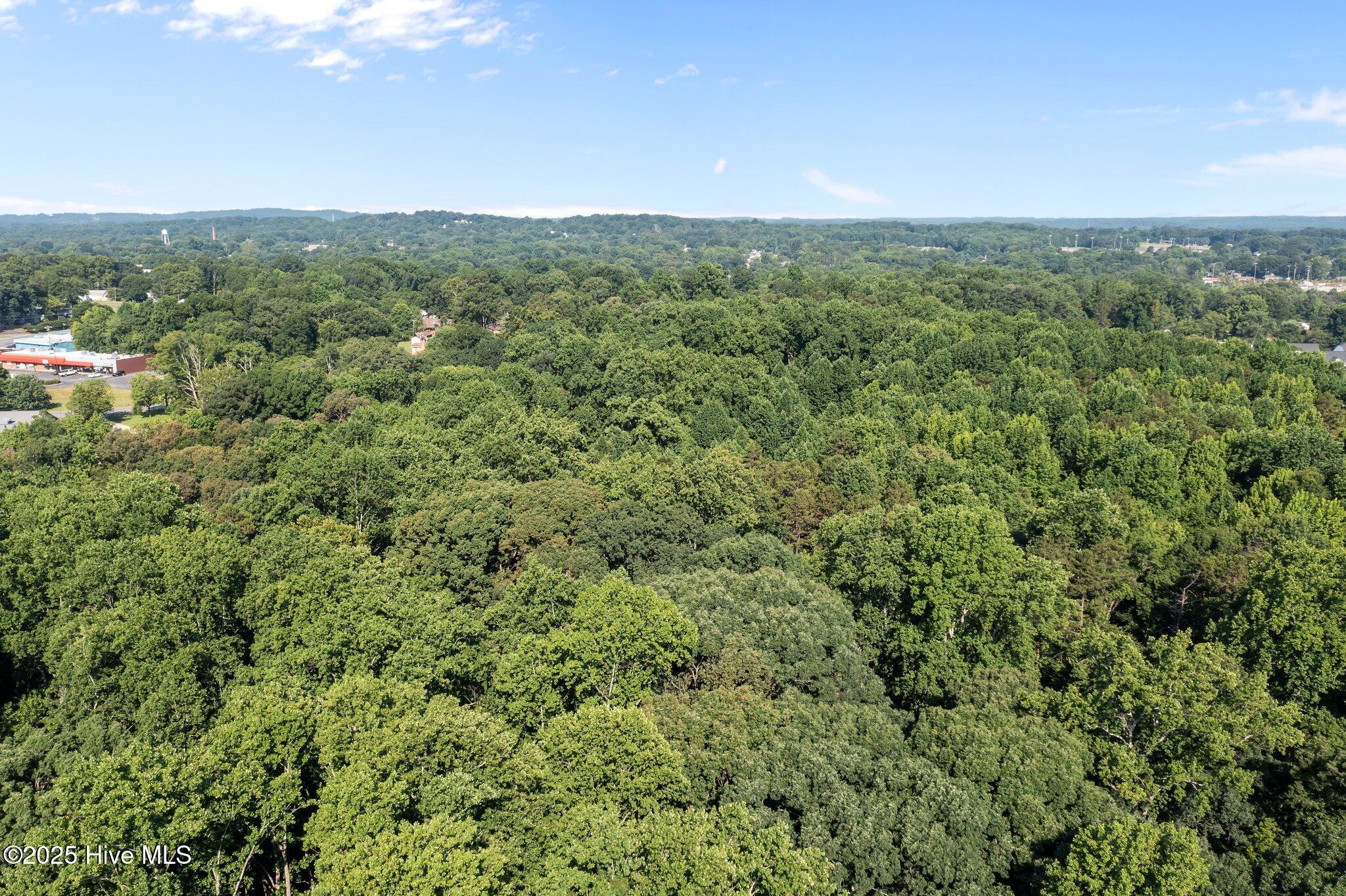 208 Costner School Road Property Photo 7