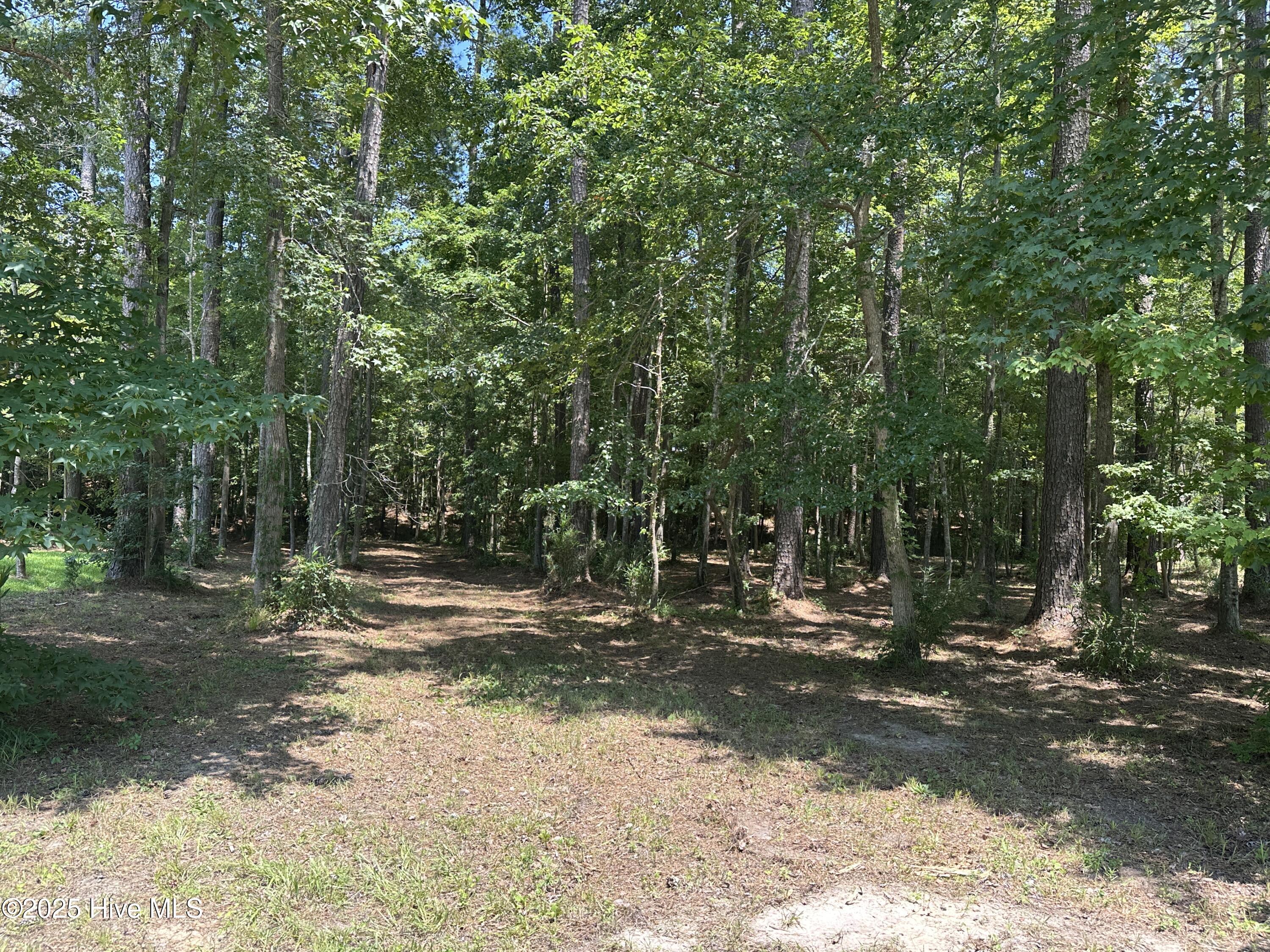 4819 Delft Drive Property Photo 3