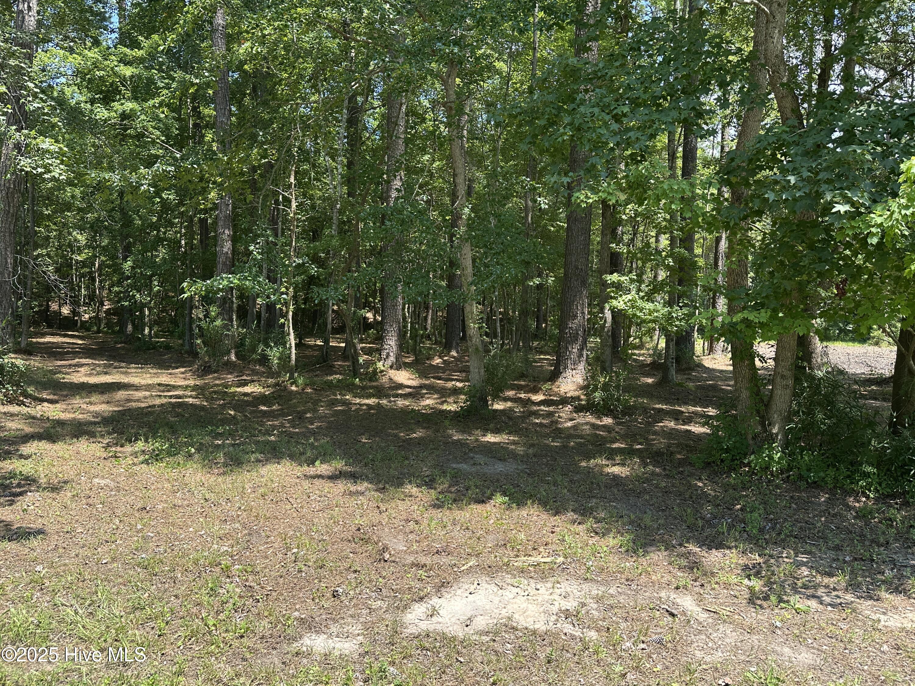 4819 Delft Drive Property Photo 4