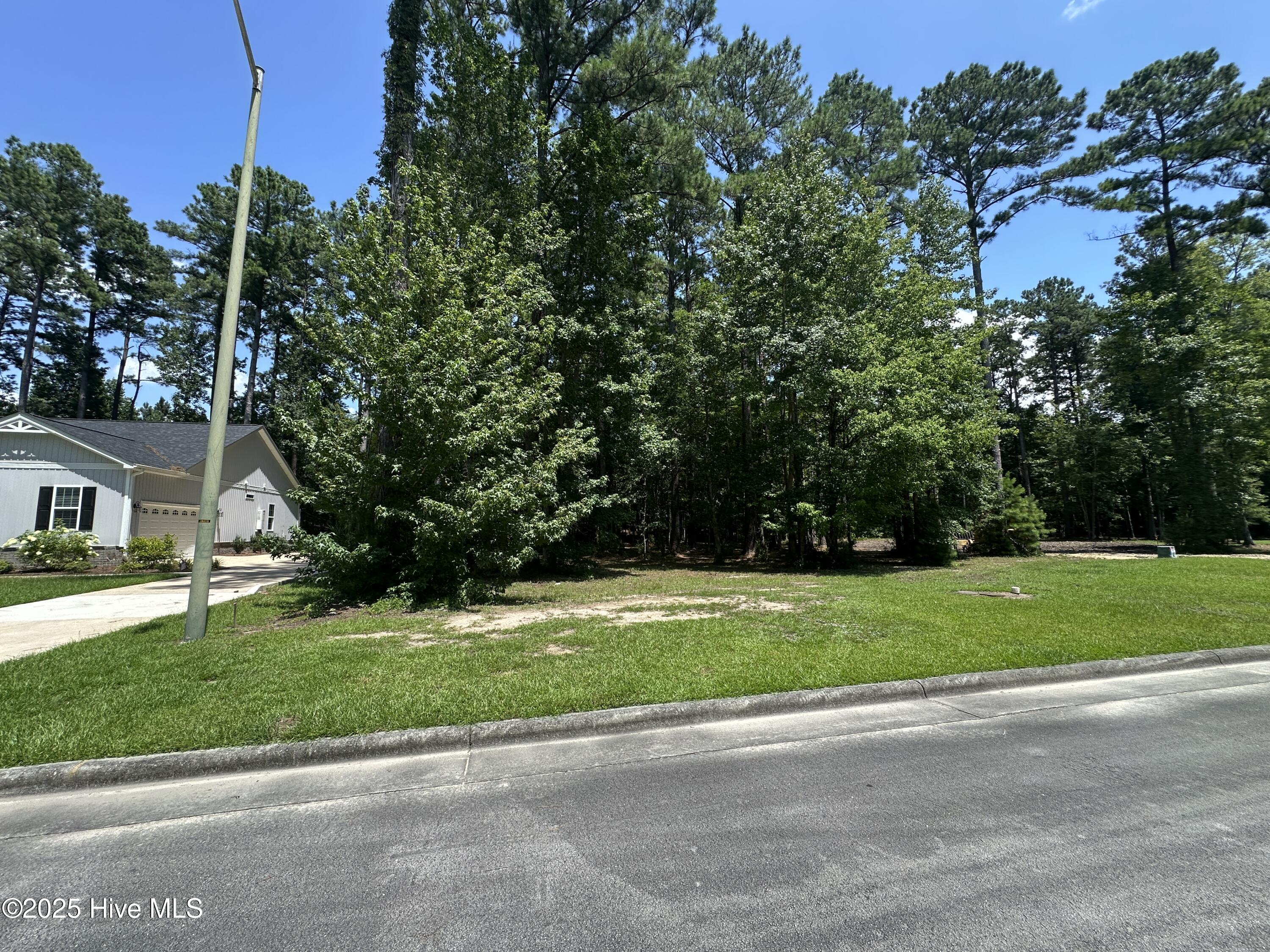 4819 Delft Drive Property Photo 7