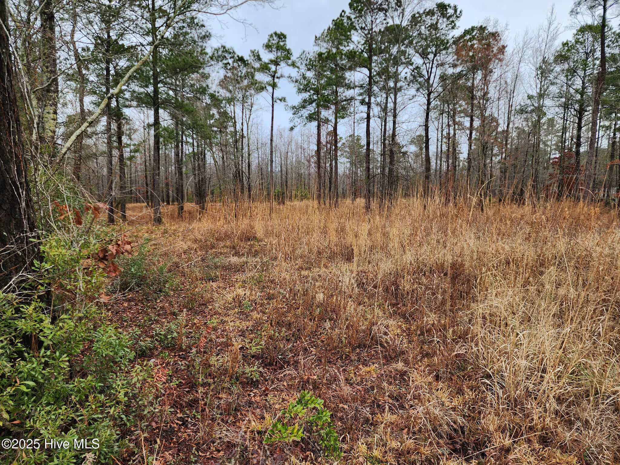 8055 N Us 17 Hwy Property Photo 1