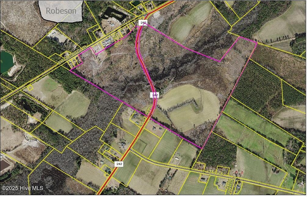 0 Nc 242 Highway Property Photo 1