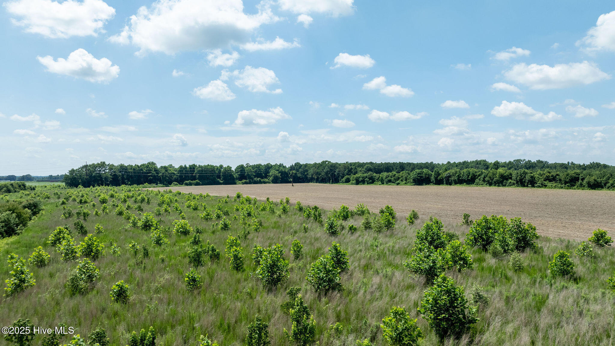 000 Oberry Road Property Photo 18