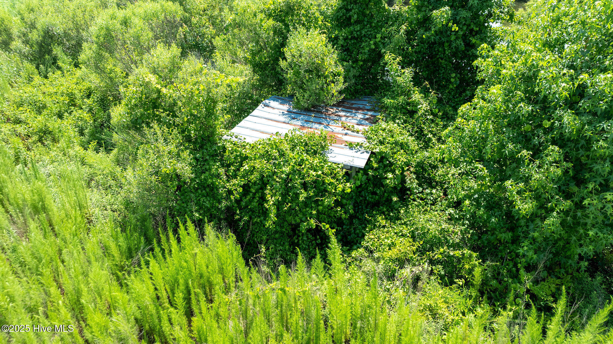 000 Oberry Road Property Photo 31