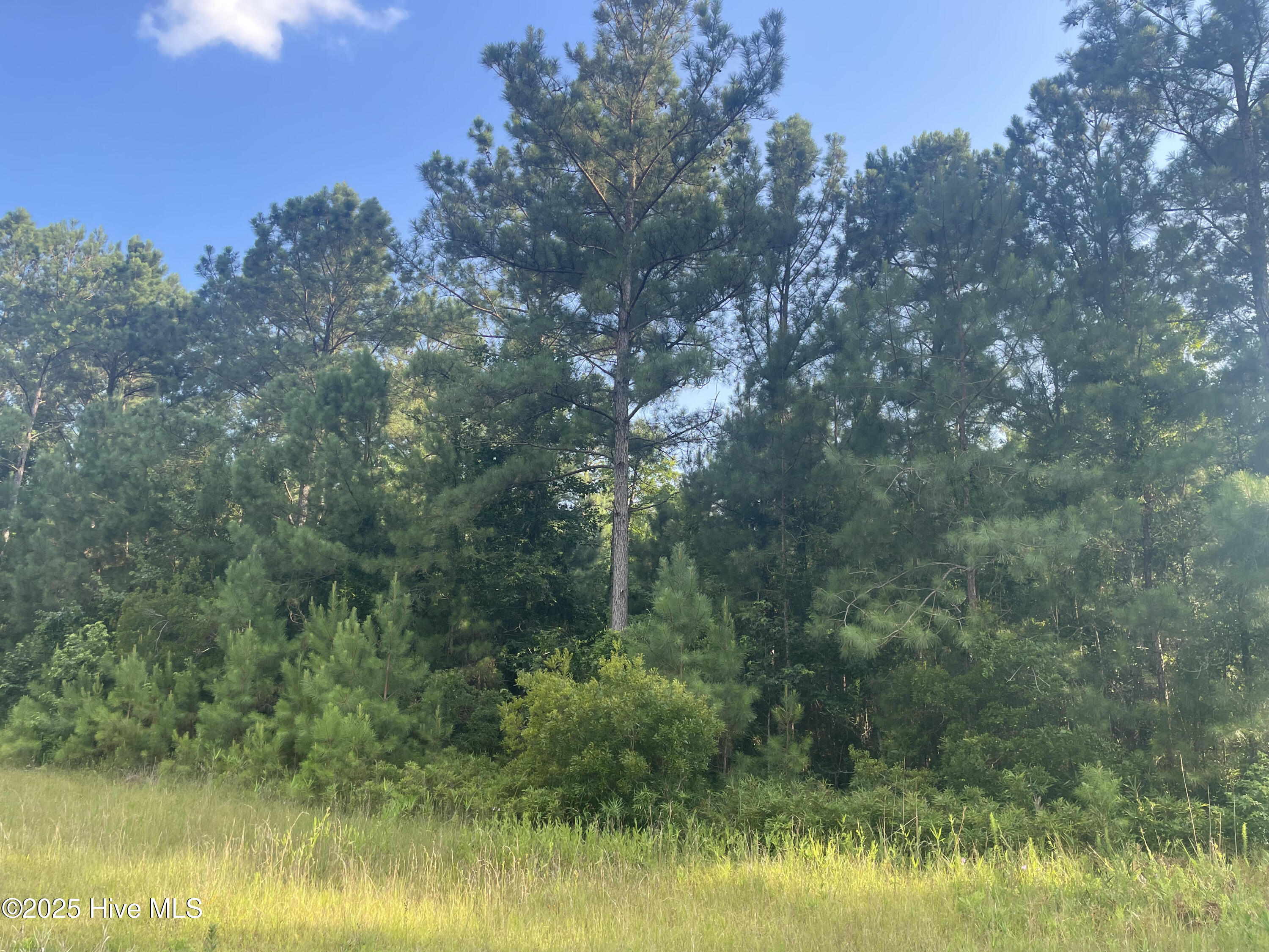 61 Arant Farm Road Property Photo 1