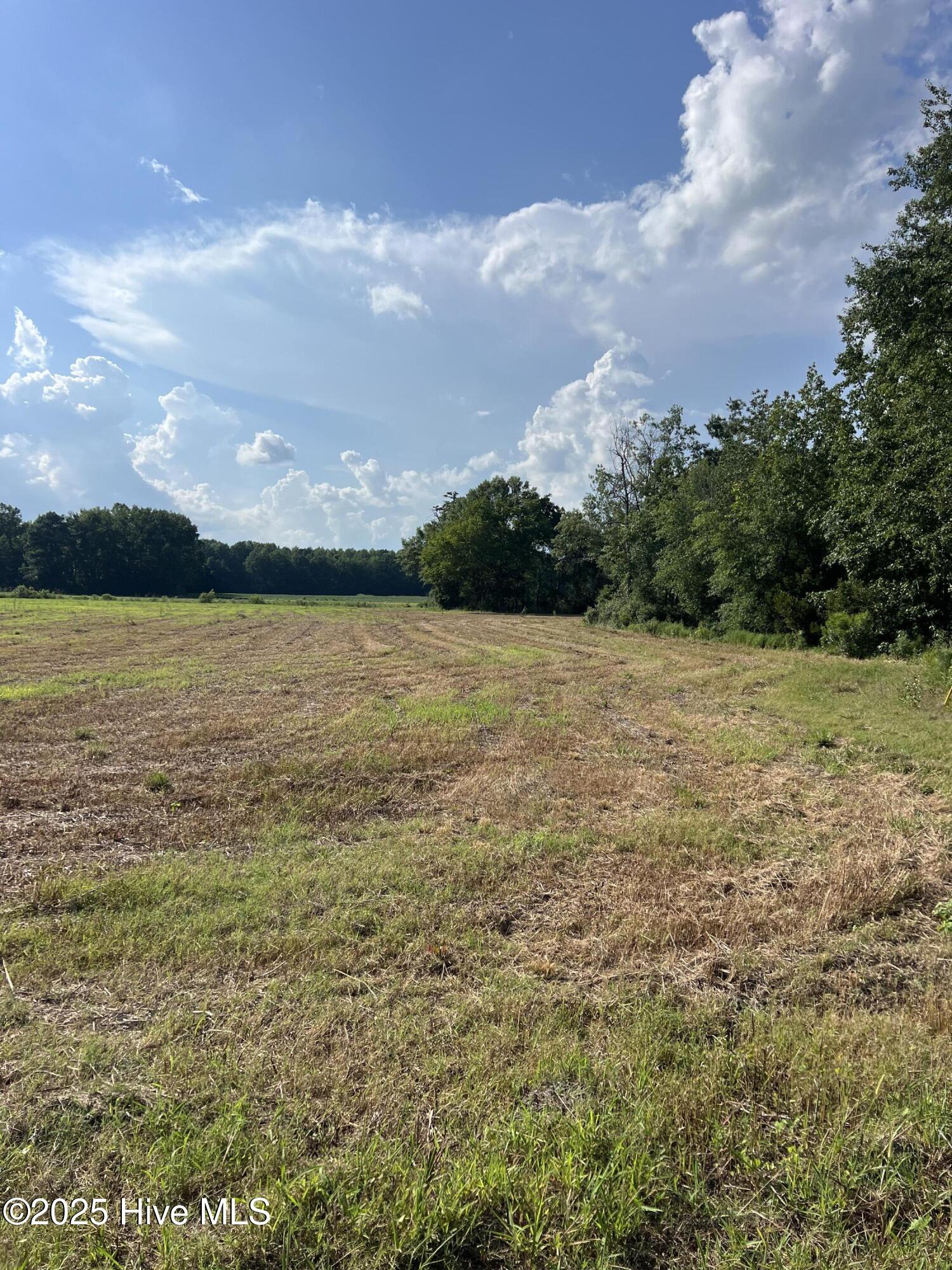 2 Seed Tick Neck Road Property Photo 2