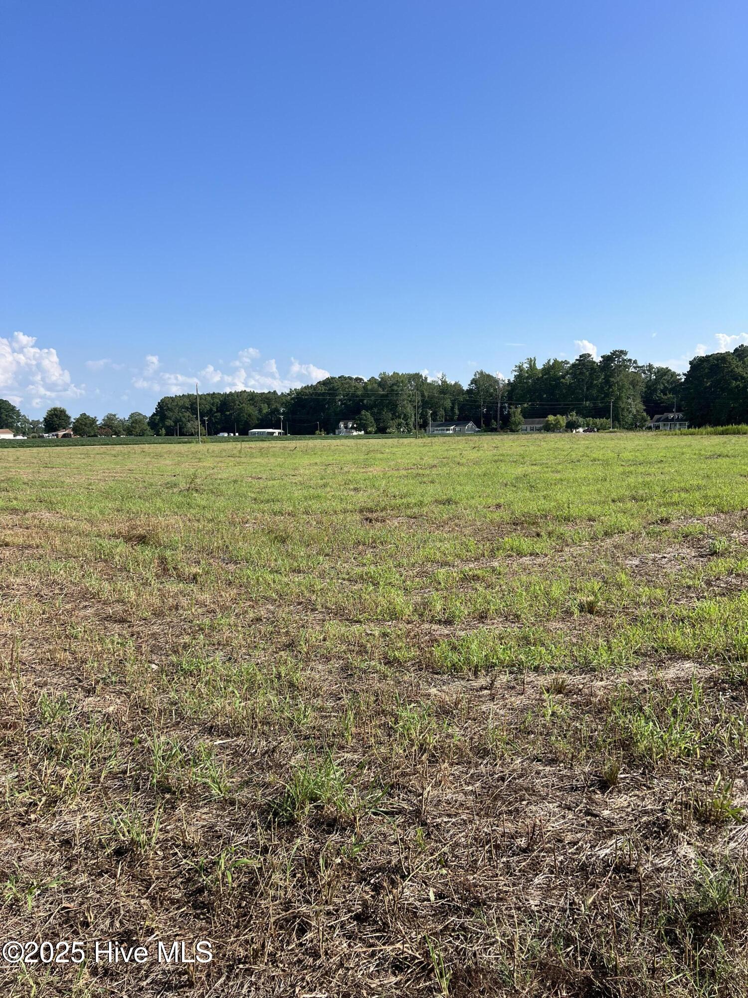2 Seed Tick Neck Road Property Photo 6