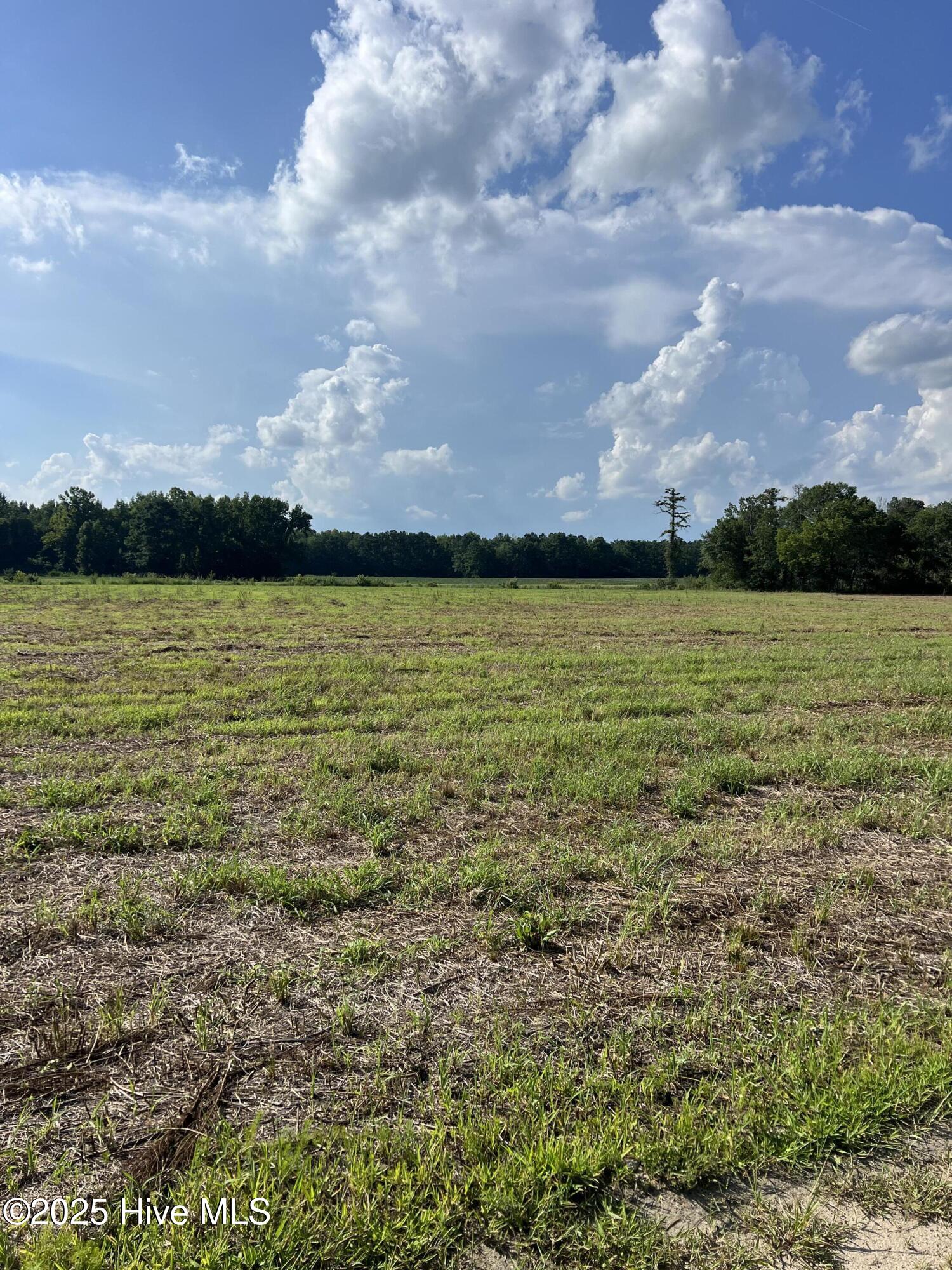 2 Seed Tick Neck Road Property Photo 7